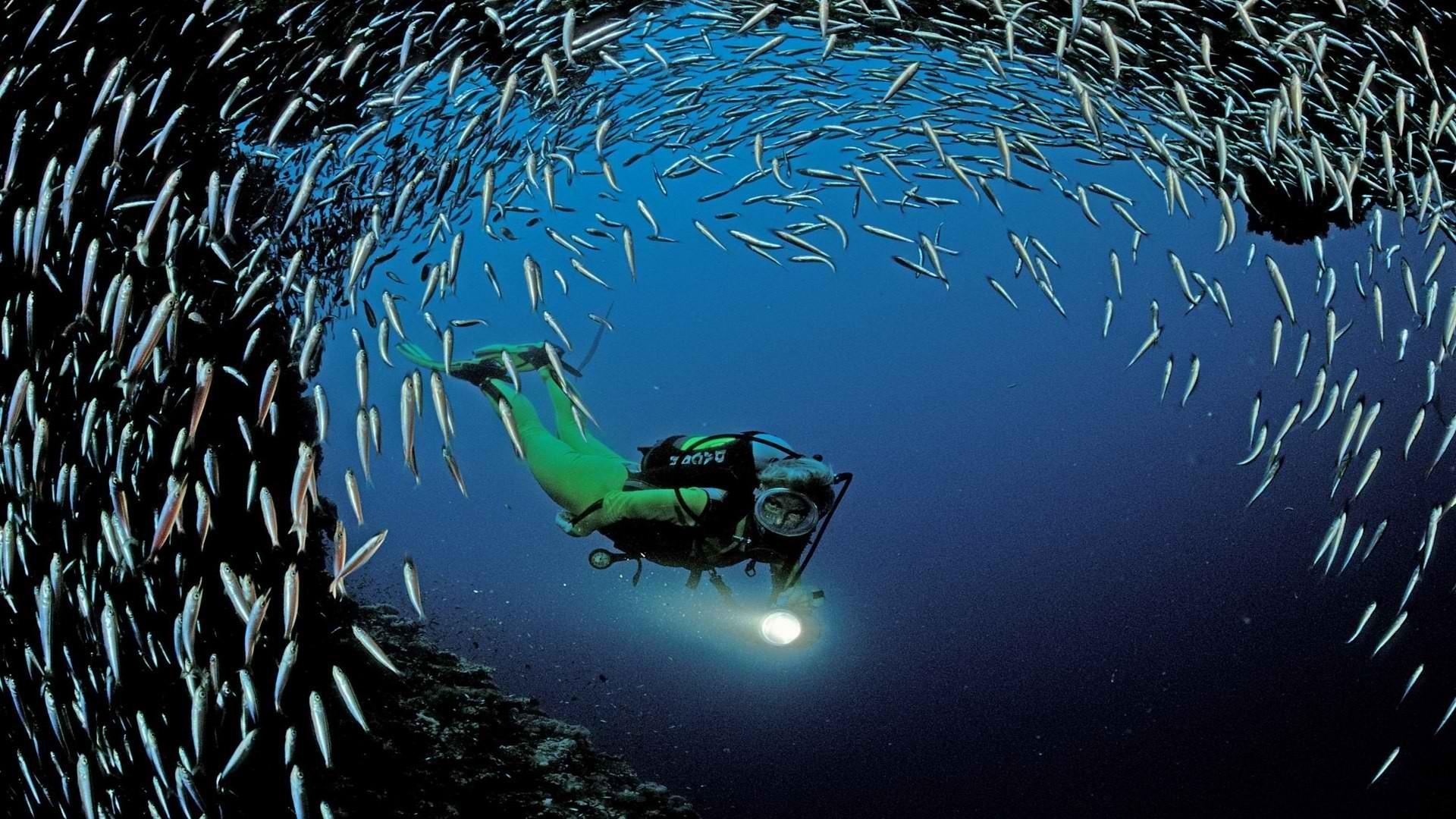 1920x1080 Scuba Diving Wallpaper High Resolution