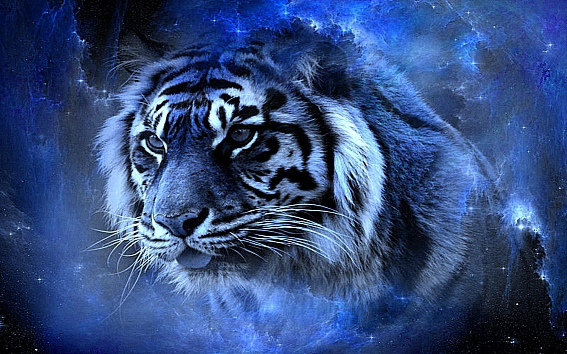1920x1200 Saber Tooth Tiger Pet Wallpaper
