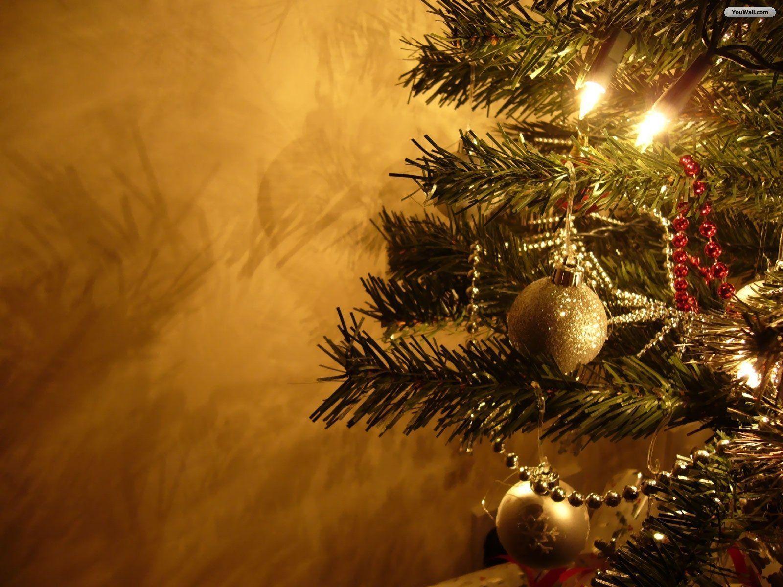 1600x1200 Wallpaper Xmas Tree