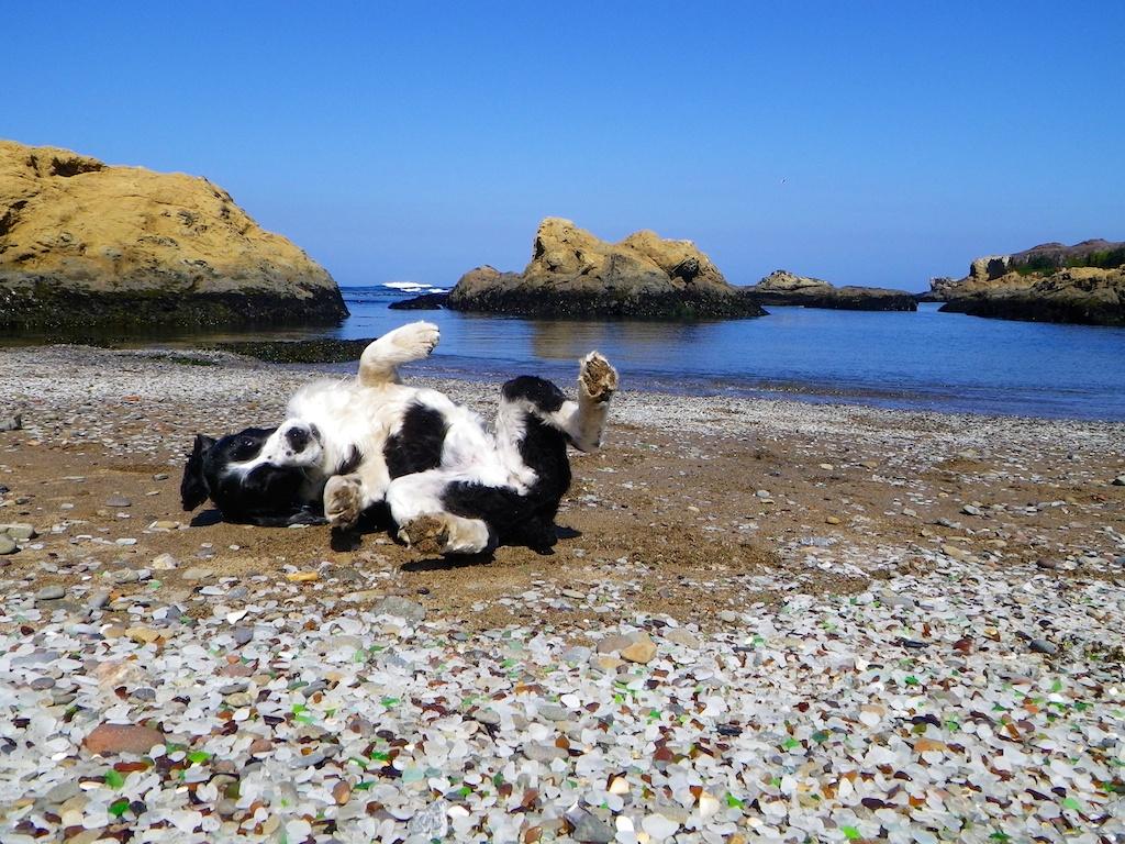 1024x768 Glass Beach- Enjoy it While You Can
