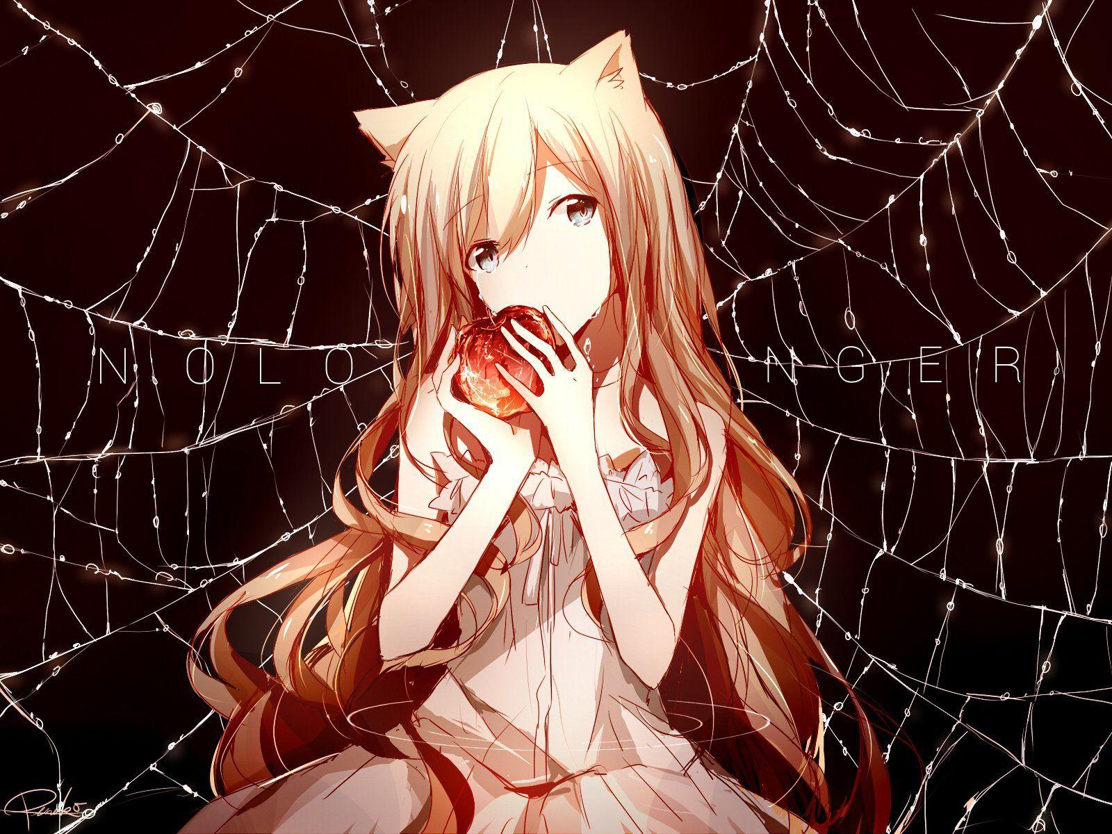 1600x1200 Spider Web HD Wallpaper and Background Image