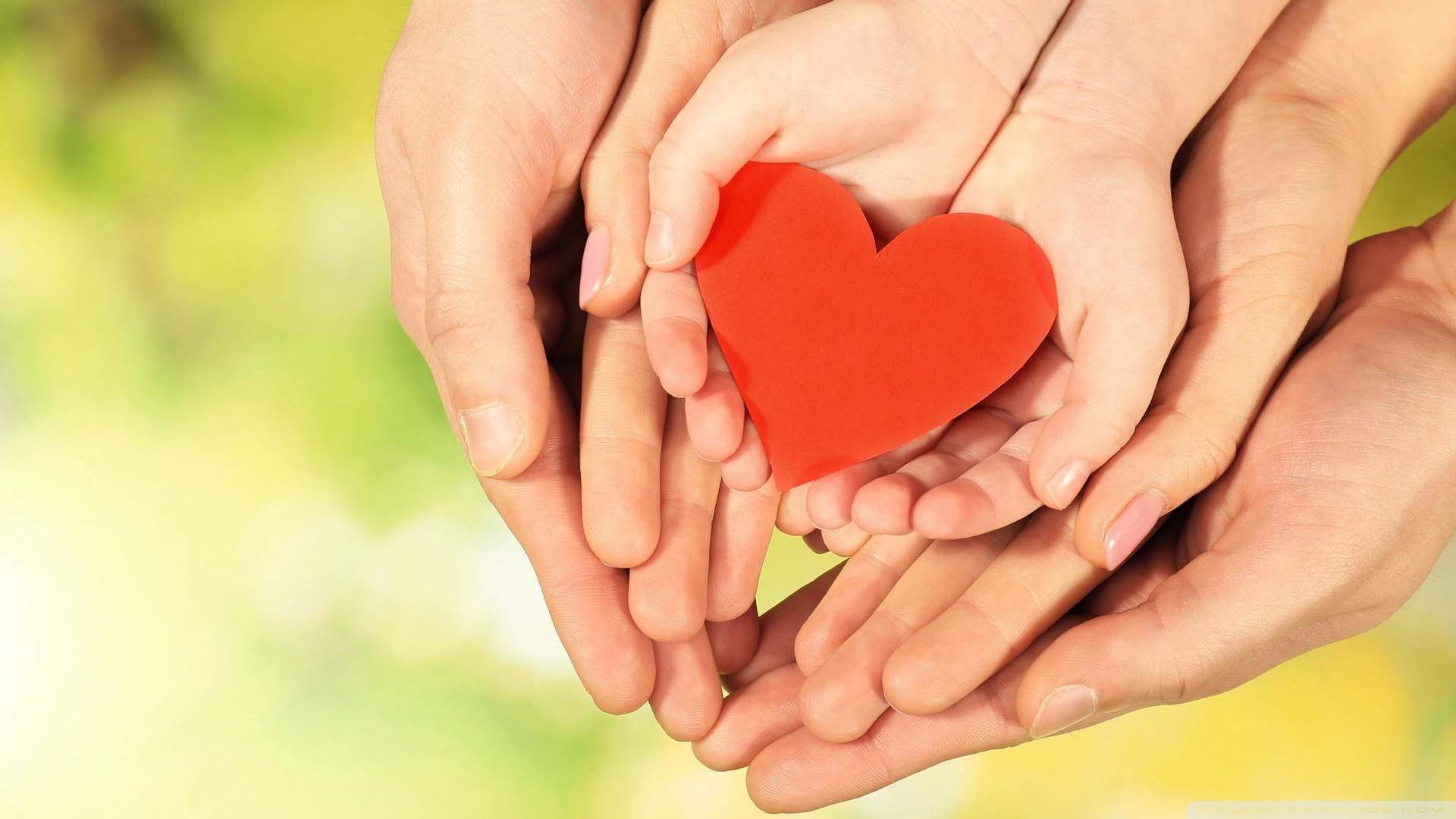 1920x1080 Family Love Hands Ultra HD Desktop Background Wallpaper for 4K UHD TV : Tablet