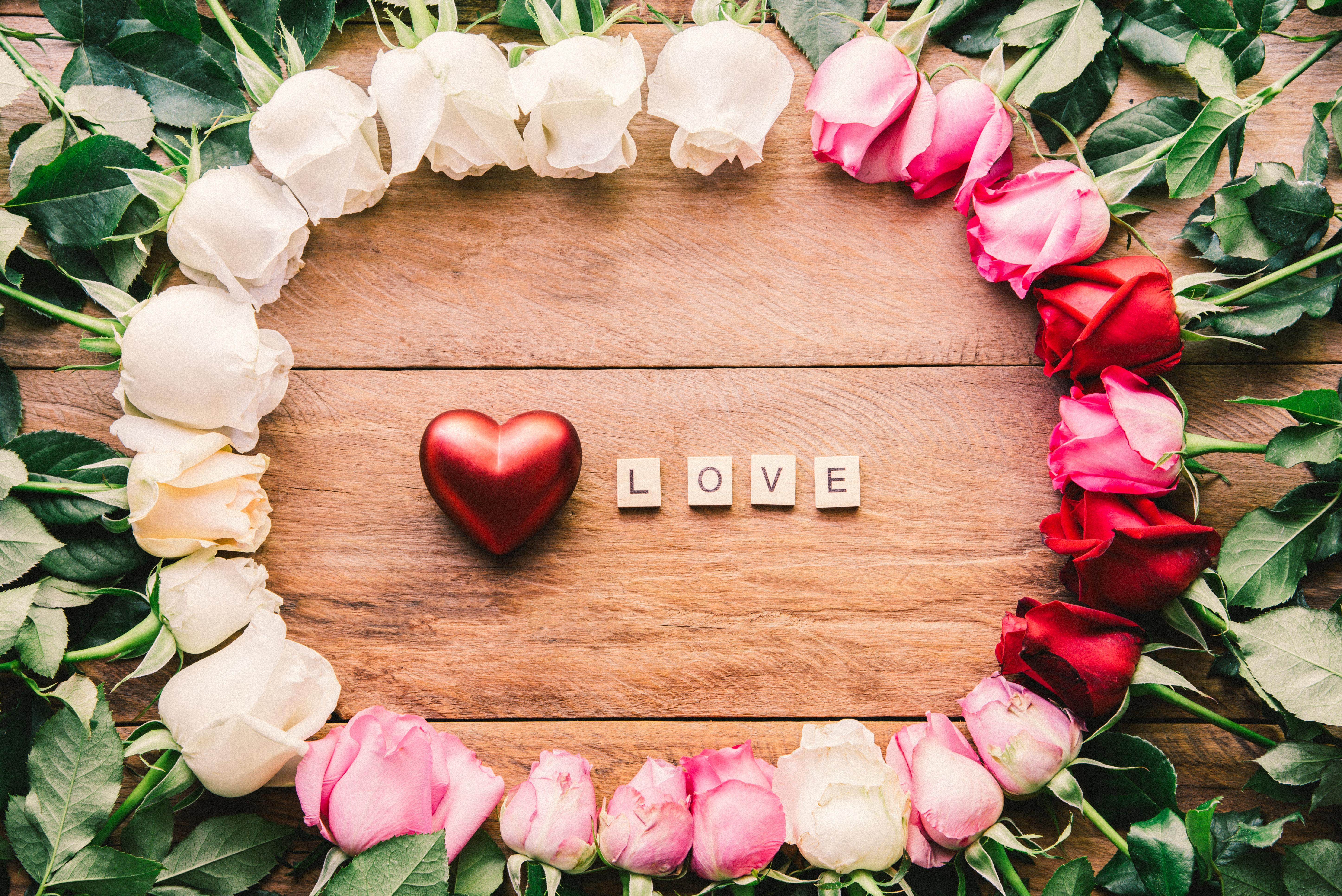 5788x3864 Red Flower, Rose, Pink Flower, Heart, White Flower, Love, Flower wallpaper