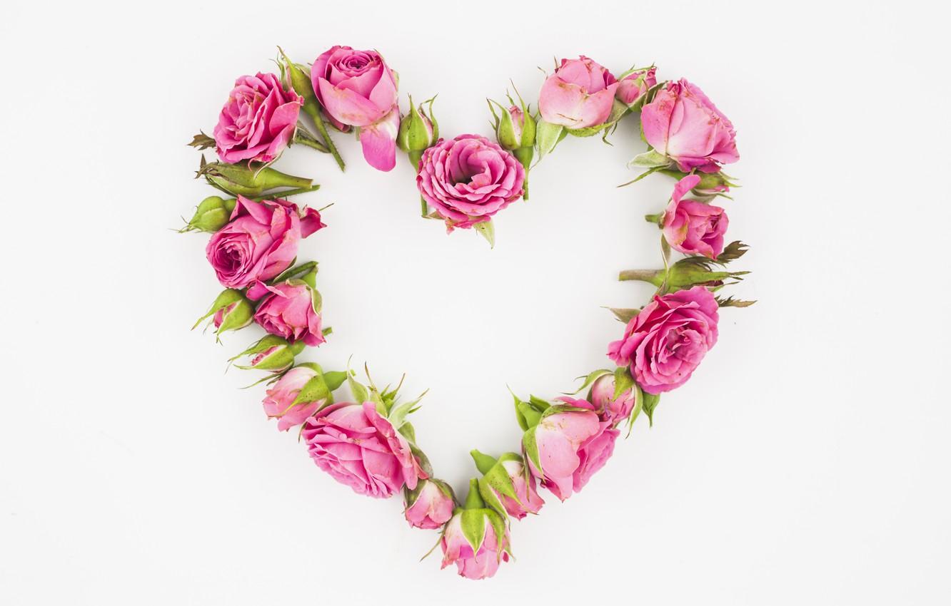 1332x850 Wallpaper heart, roses, pink, buds, pink, roses, Heart image for desktop, section настроения