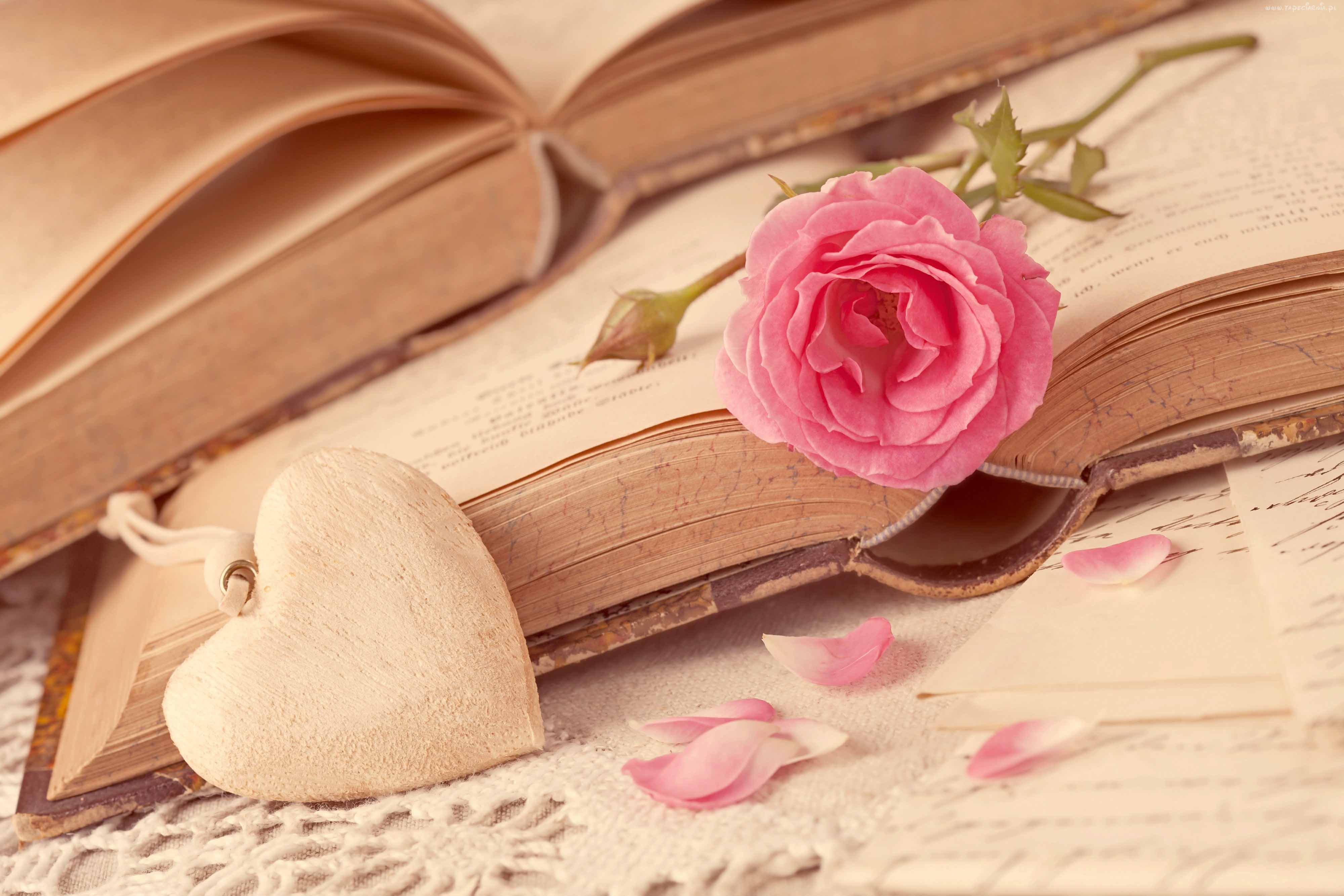 4000x2667 Love, Heart, Rose, Hd, Wallpaper