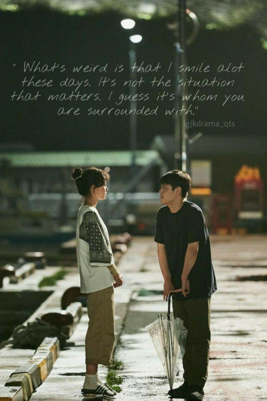 When The Camellia Blooms Wallpapers Top Free When The Camellia Blooms