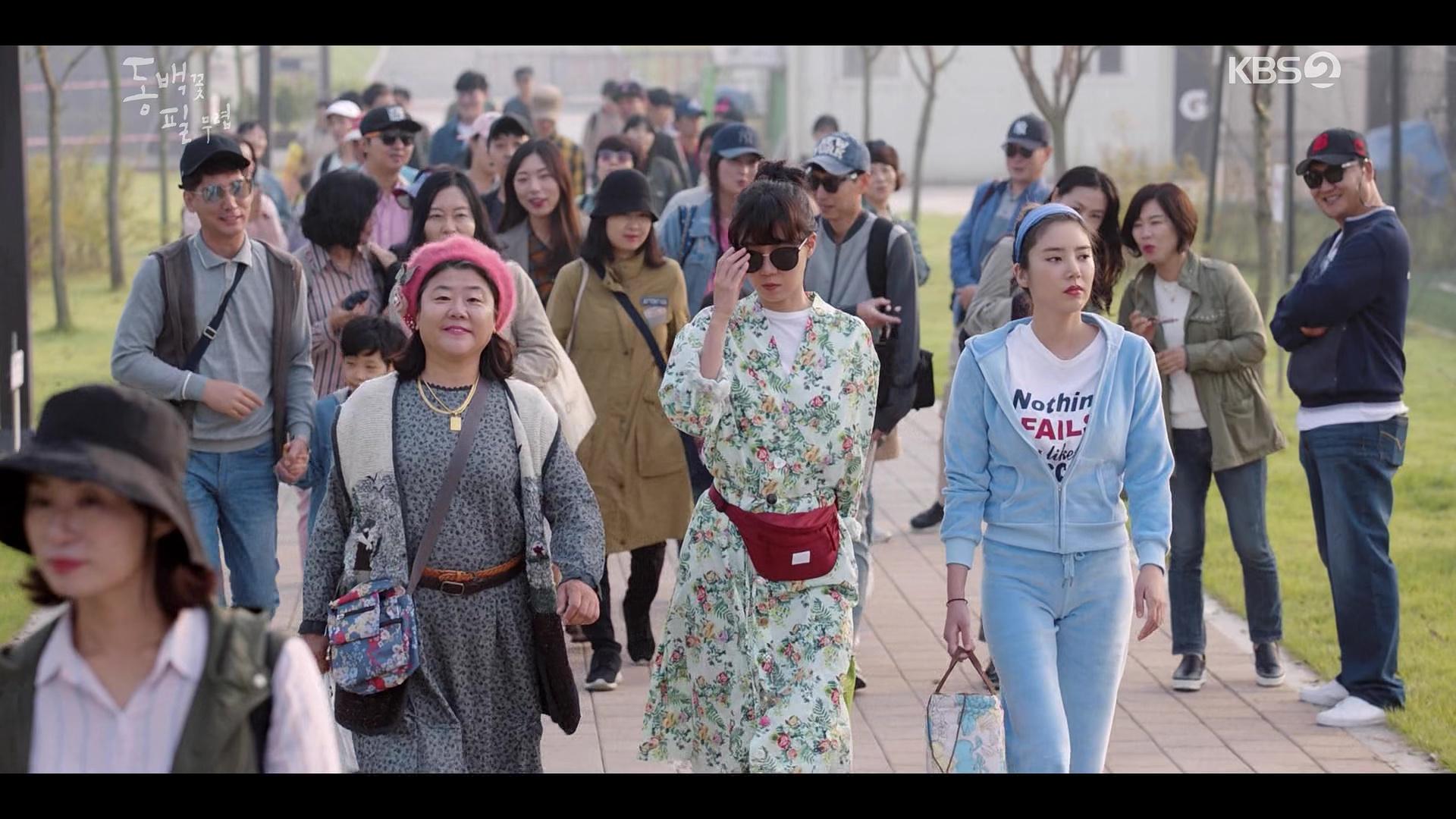 When The Camellia Blooms Wallpapers Top Free When The Camellia Blooms Backgrounds