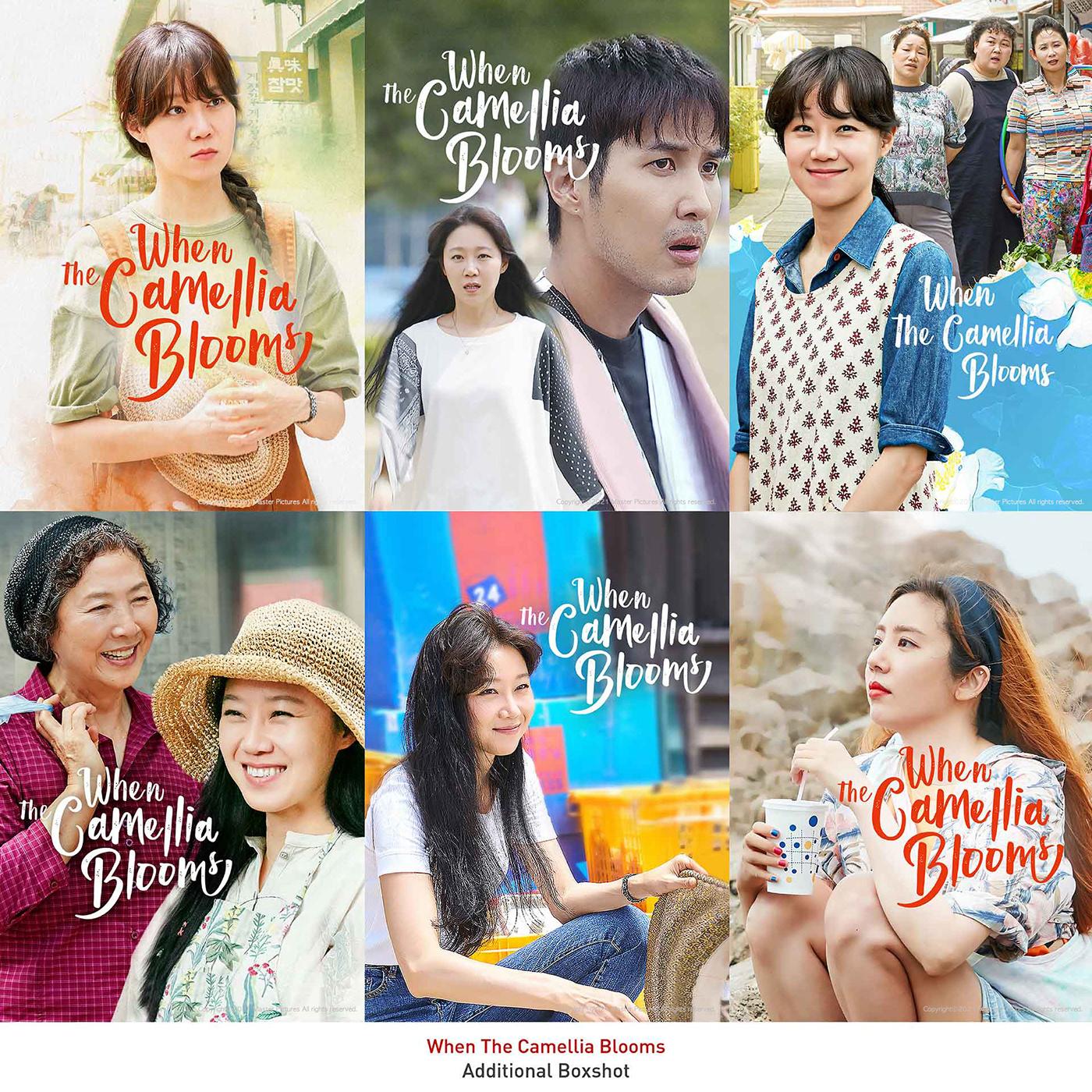 When The Camellia Blooms Wallpapers Top Free When The Camellia Blooms Backgrounds