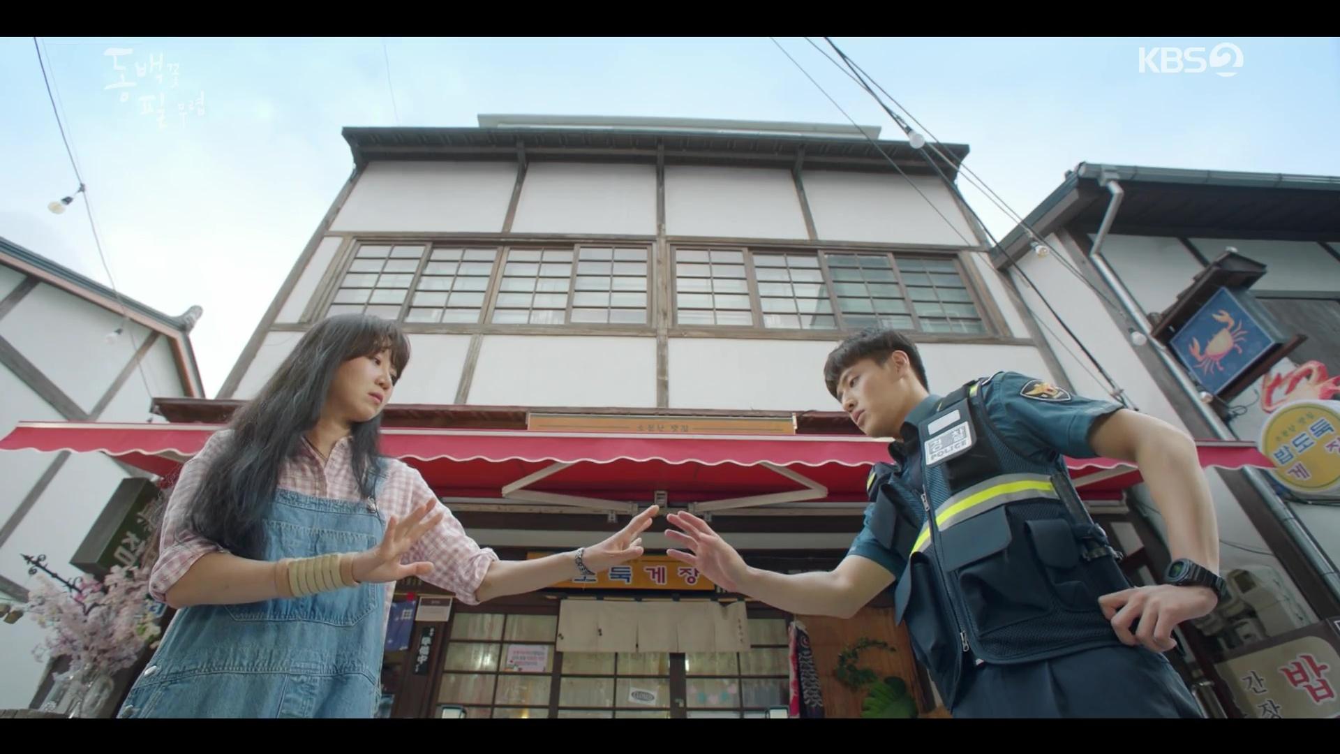 When The Camellia Blooms Wallpapers Top Free When The Camellia Blooms