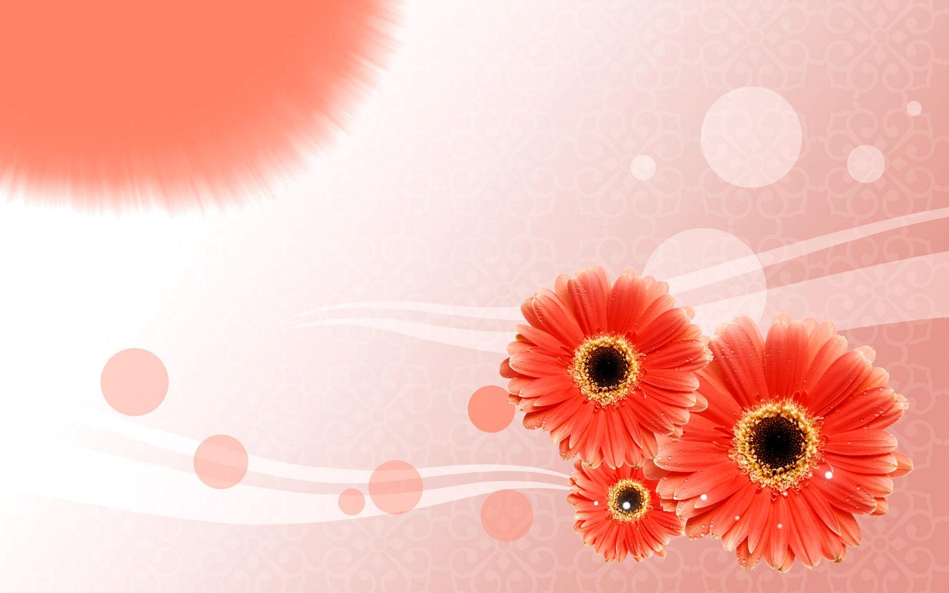 1920x1200 Free download Pink sunflowers desktop wallpaper HD Wallpaper Rocks [1920x1200] for your Desktop, Mobile & Tablet. Explore Sunflowers Wallpaper for Desktop. Sunflower Wallpaper, 3D Sunflower Wallpaper, Autumn Sunflower Desktop Wallpaper