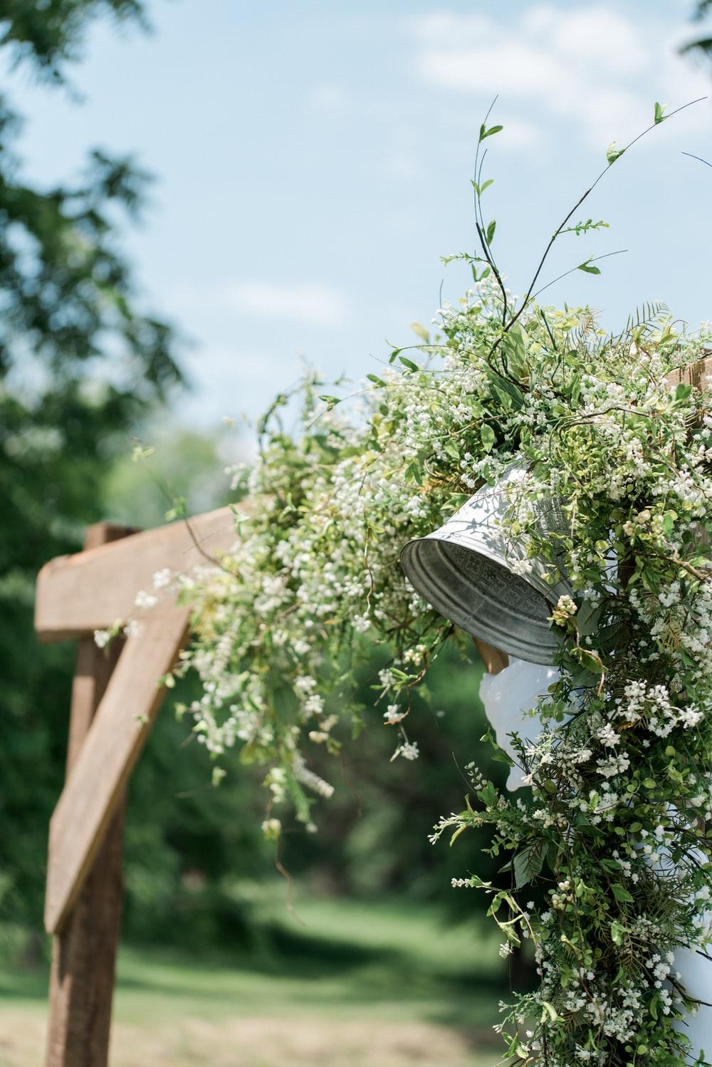 1000x1498 Wedding Bells Picture. Download Free Image