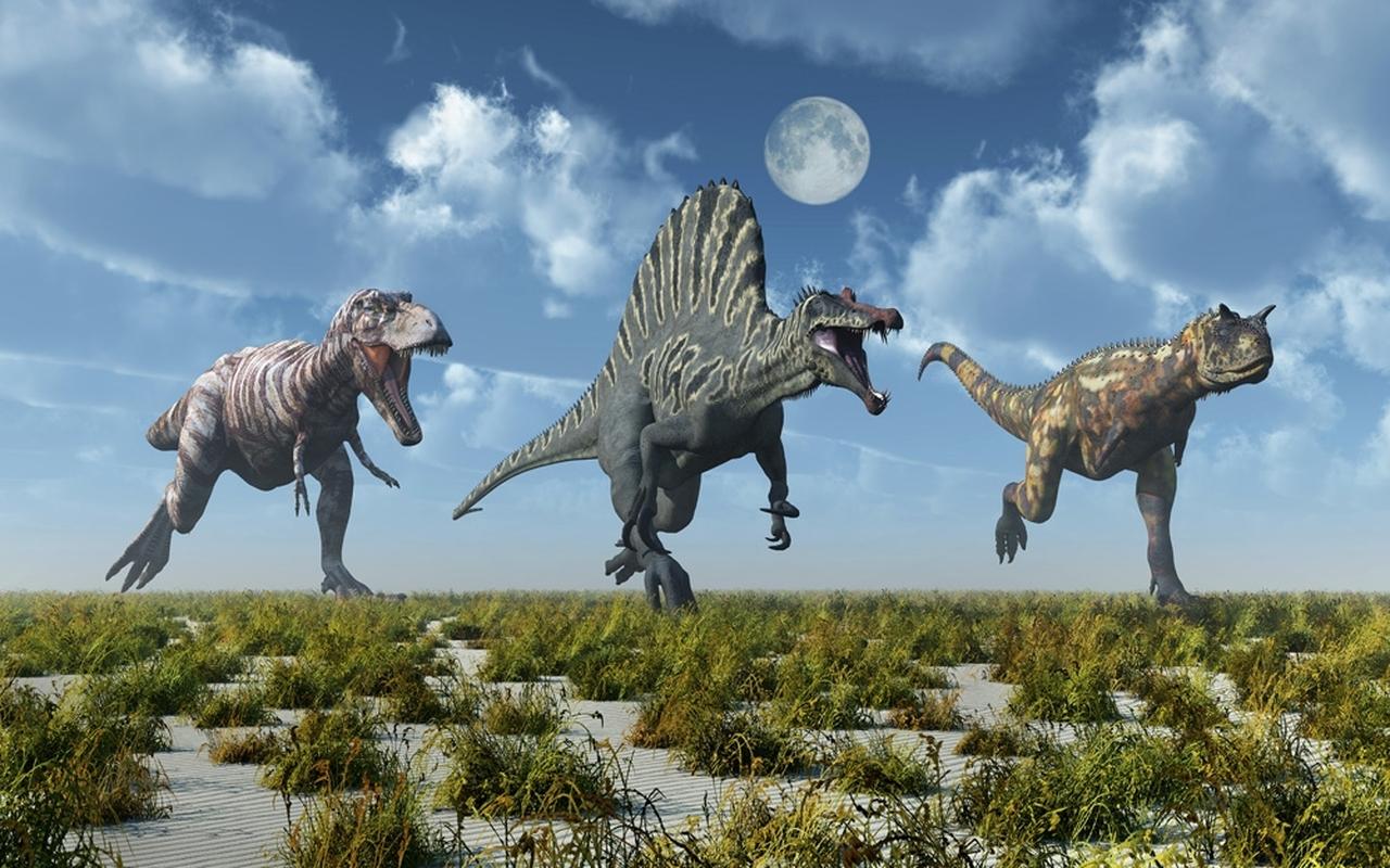 1280x800 A Tyrannosaurus Rex, Spinosaurus And Carnotaurus Dinosaur. Poster Print By Mark Stevenson Stocktrek Image # VARPSTMAS600199P