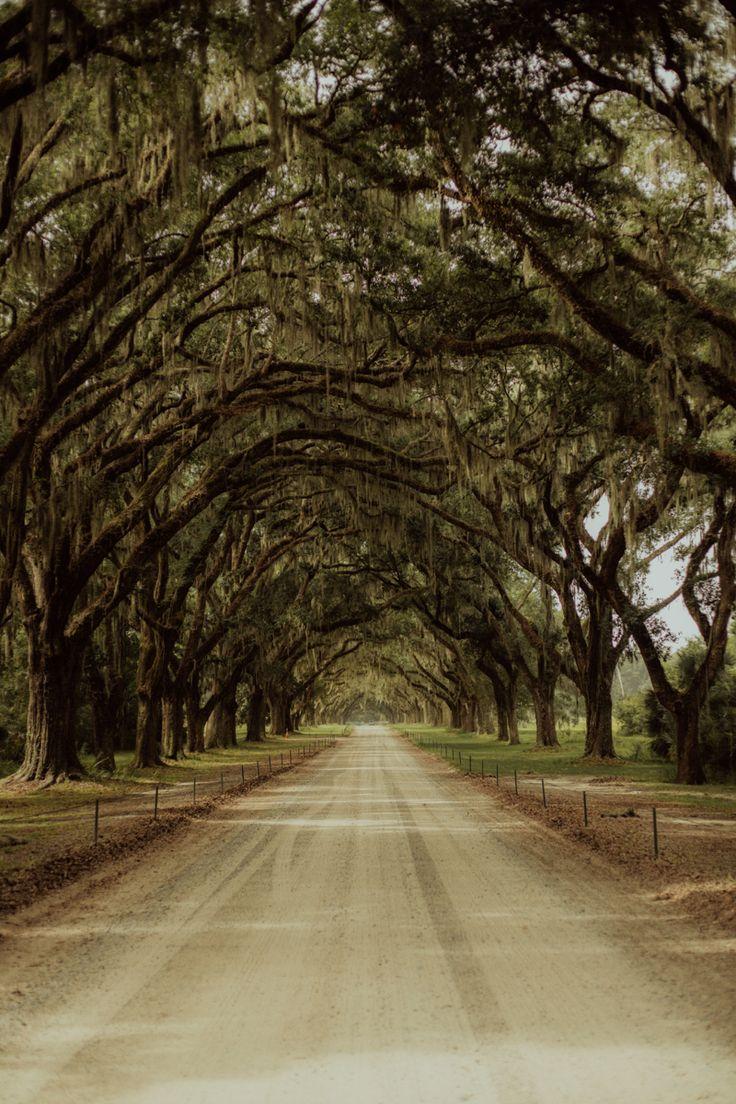 736x1104 iPhone Wallpaper. Savannah GA Wallpaper. Landscape wallpaper, Savannah chat, Landscape