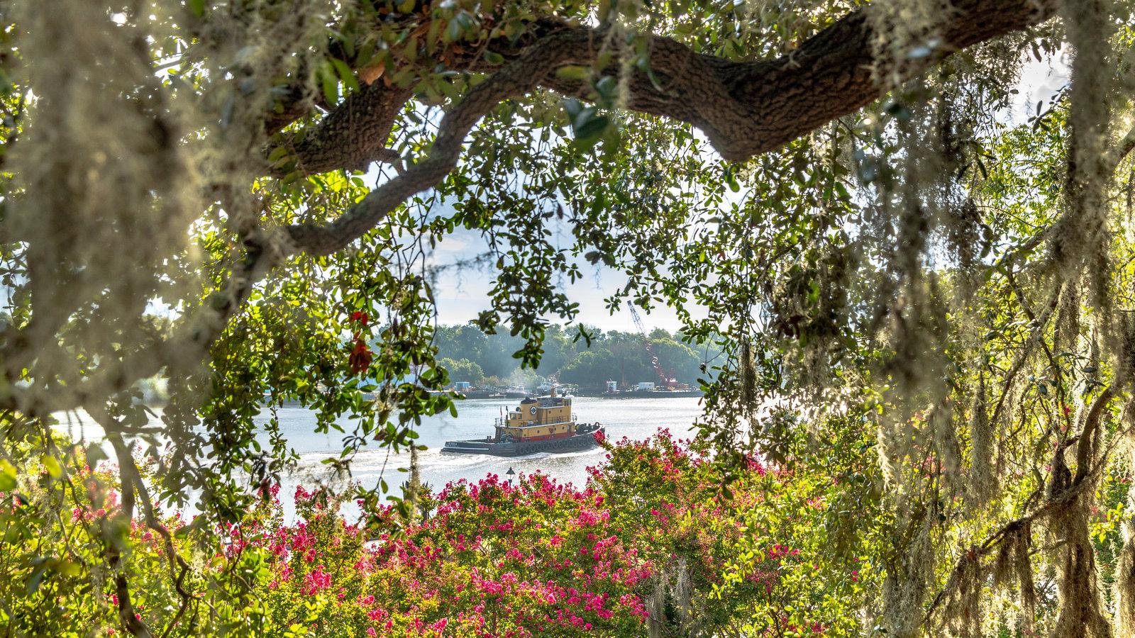 1600x900 The Charm, and Challenge, of Savannah