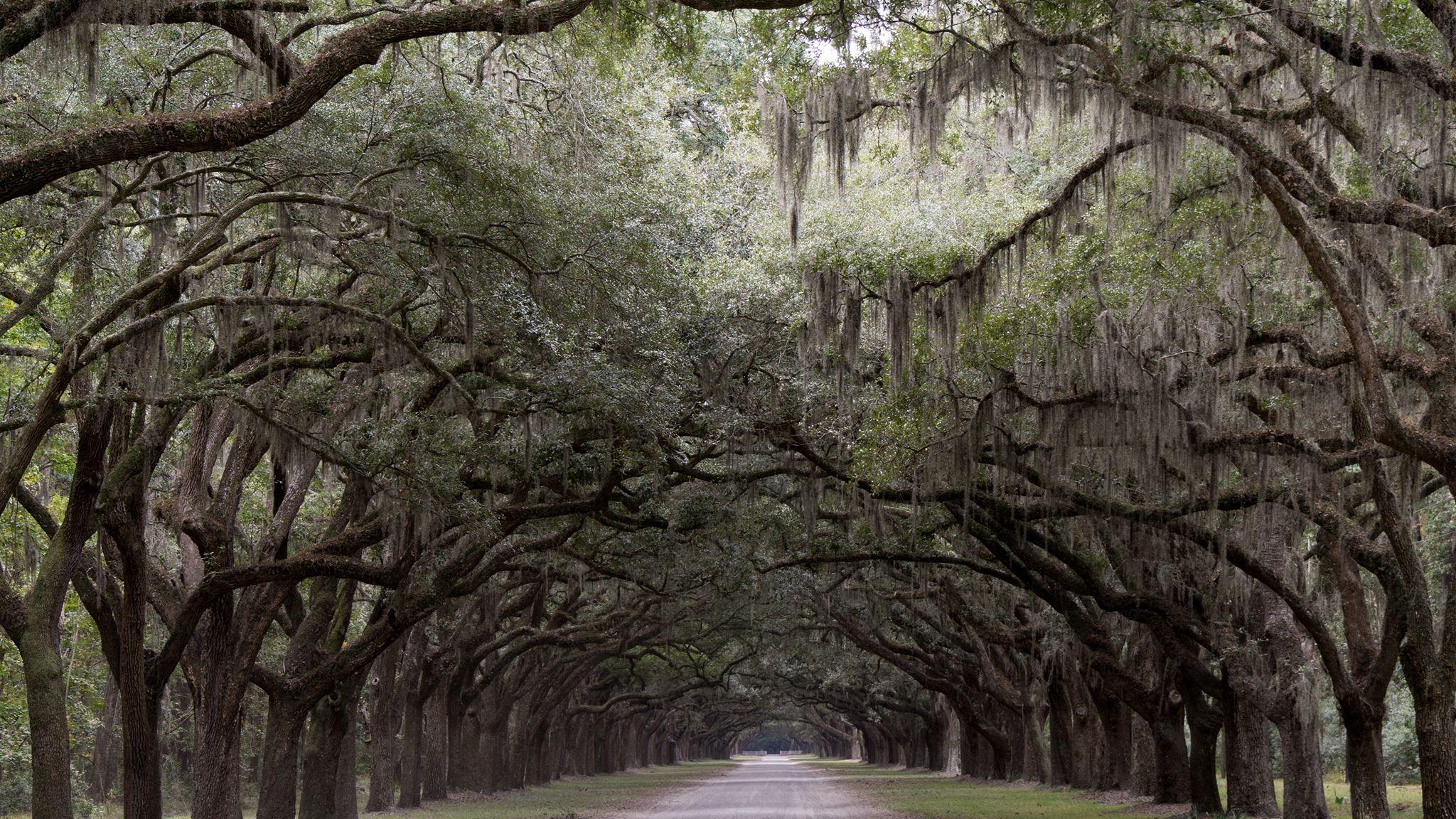 2048x1152 The entrance to an old plantation outside of Savannah Georgia