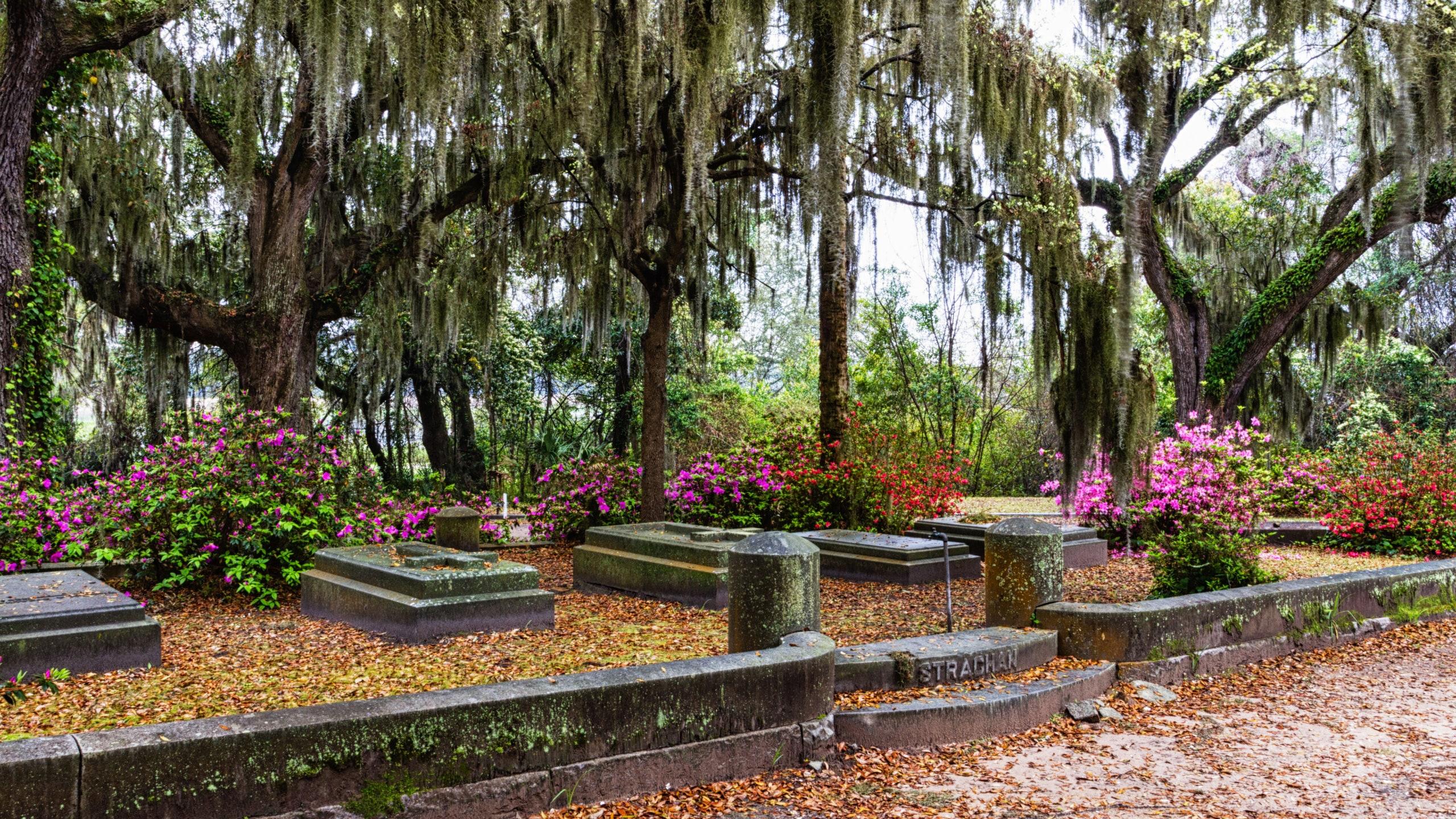 2560x1440 Bonaventure Don: History in Headstones