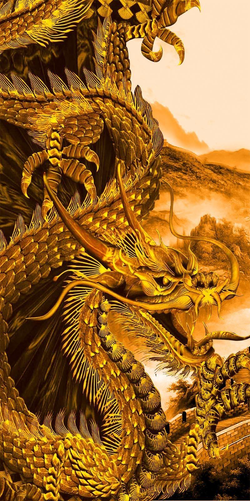 800x1600 Gold Dragon Wallpaper