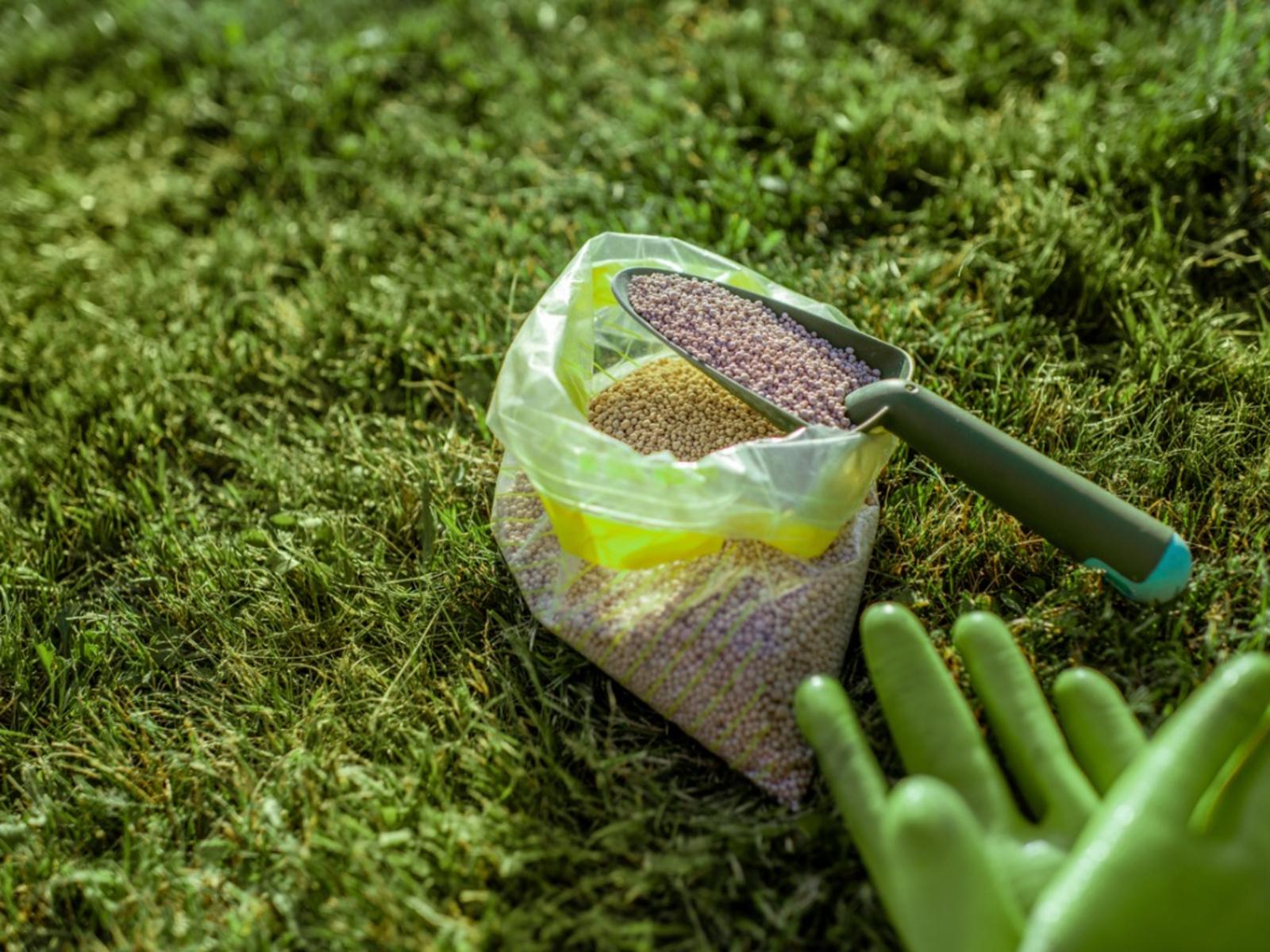 Fertilizer Wallpapers Top Free Fertilizer Backgrounds WallpaperAccess