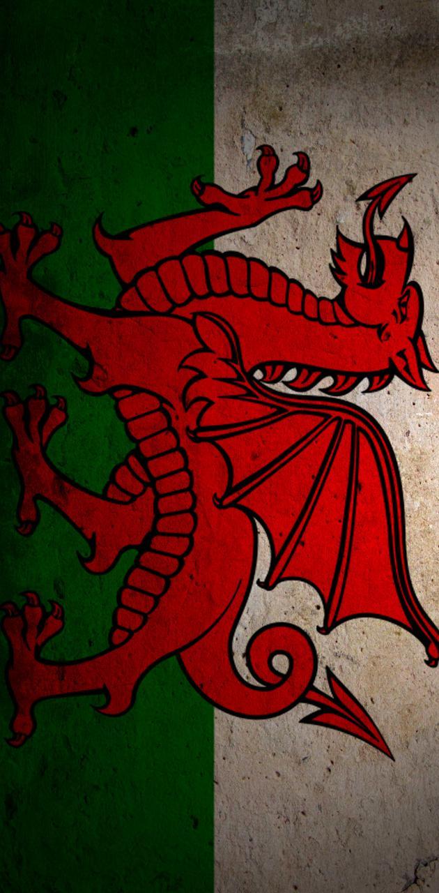 630x1280 wales wallpaper