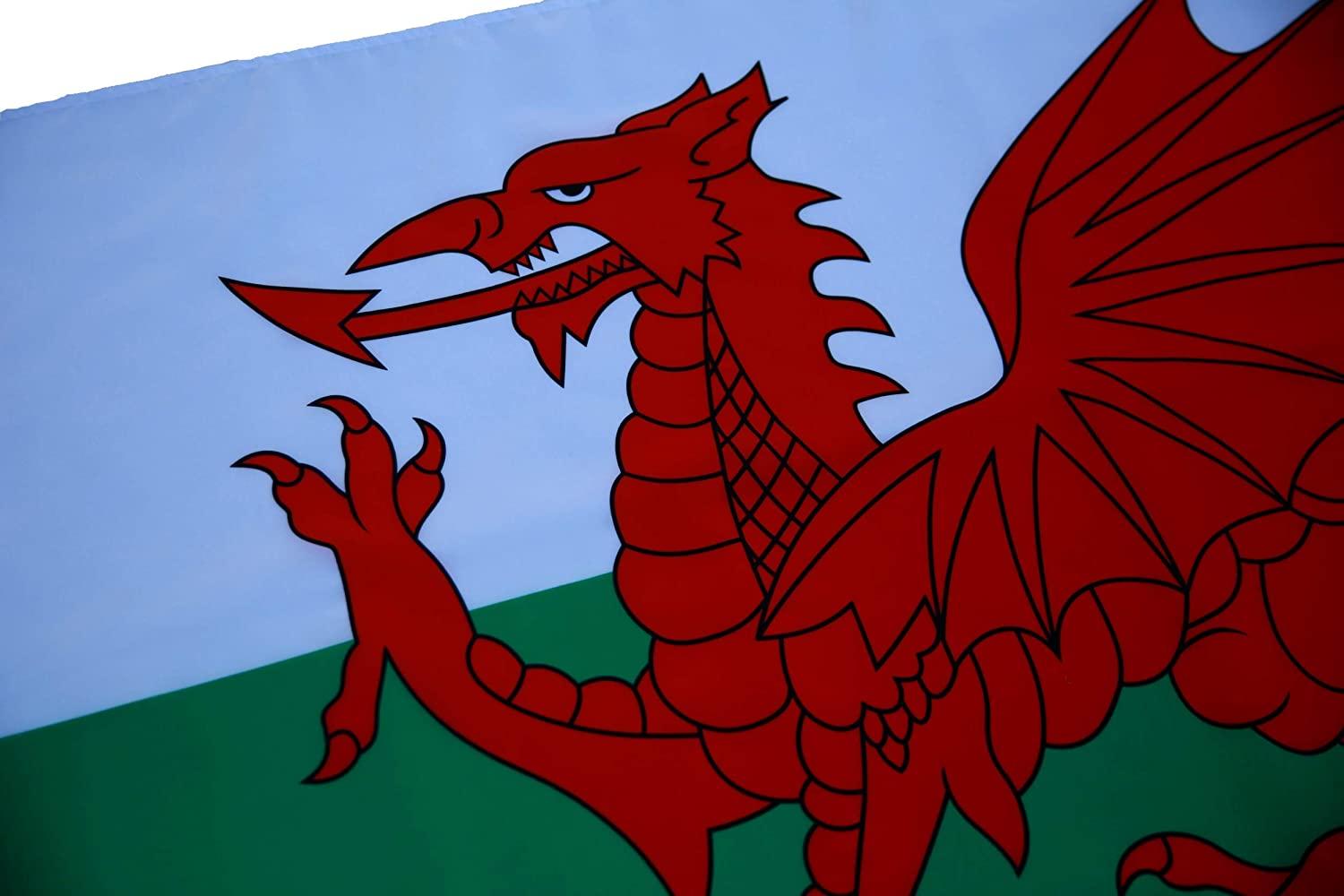 1500x1000 Amazon.com : High Supply 3x5 Wales Flag with Double Stitched Edges, Two Brass Grommets, and 100% Polyester Fabric, 3x5 Foot Flag of Wales, Welsh Flag : Patio, Lawn & Garden