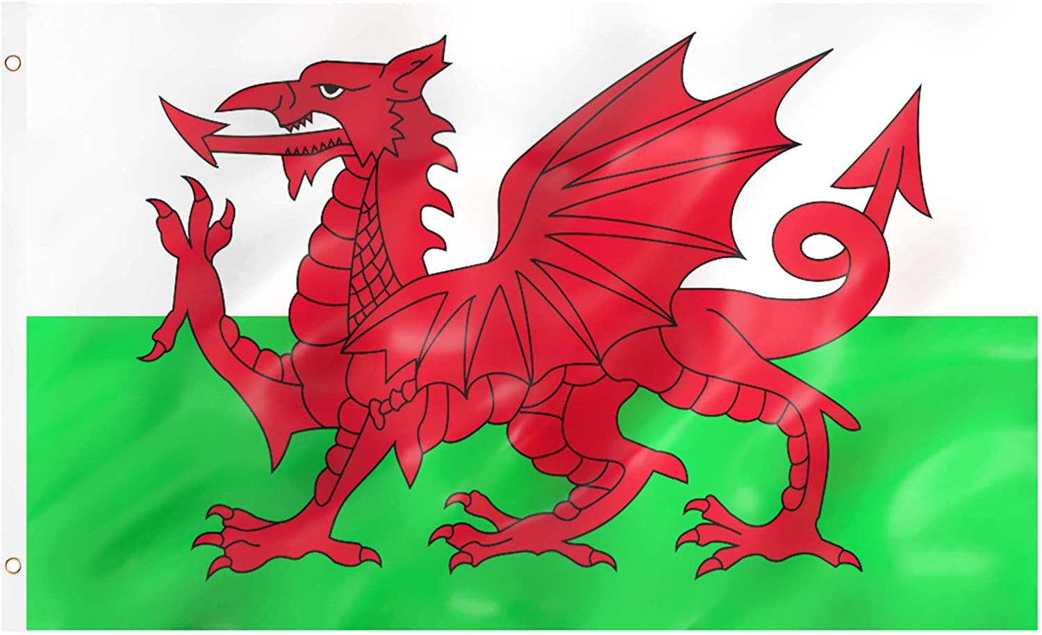 1500x914 Rugby Decorations Patriotic 10m Long Bunting and 3ft x 5ft Single Flag Georges Day Wales St National Wales Bunting and Single Flag Scotland REDSTAR England 2pc Set Flags Garden & Outdoors tecnolog.ind.br