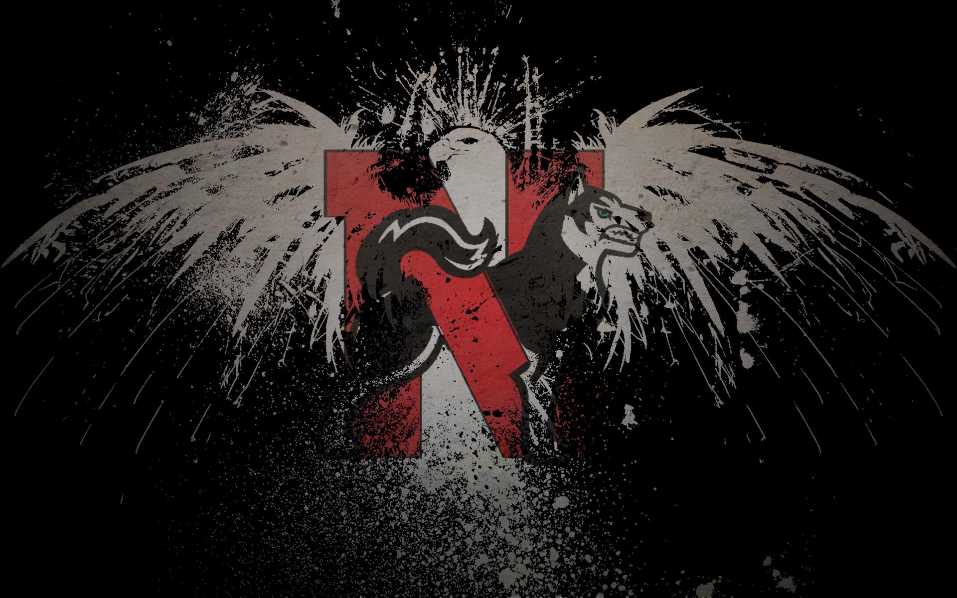 1920x1200 Eagle Flag Wallpaper 1920x1200