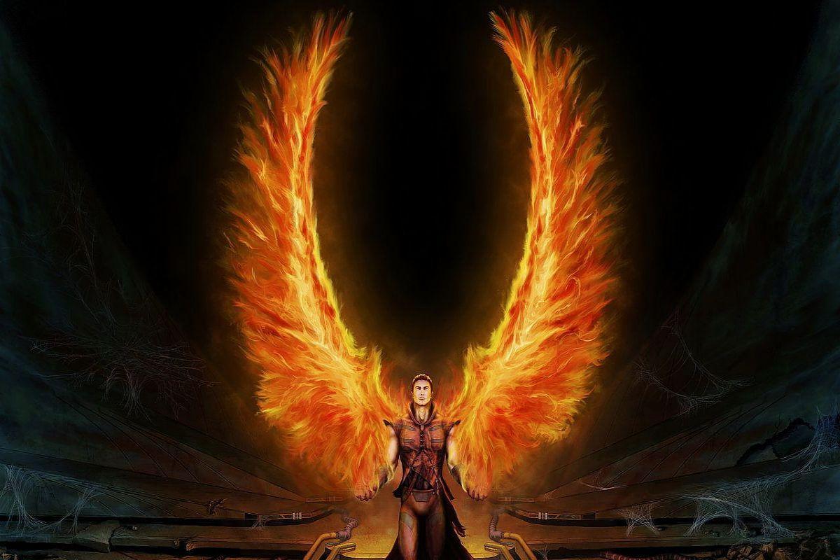 1200x800 A Fly In The_ (1200×800). Angel Wallpaper, Dark Artwork, Dark Angel Wings