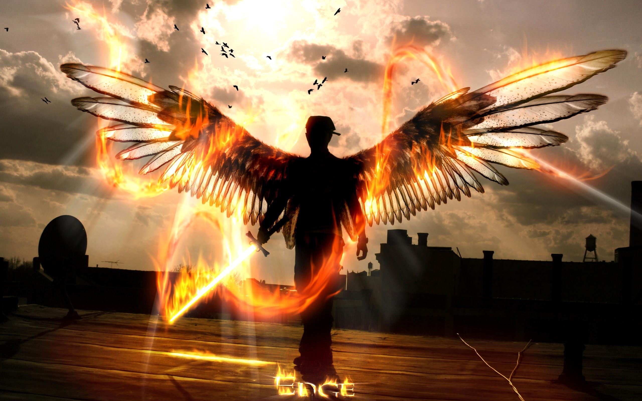 2560x1600 Fire wings art