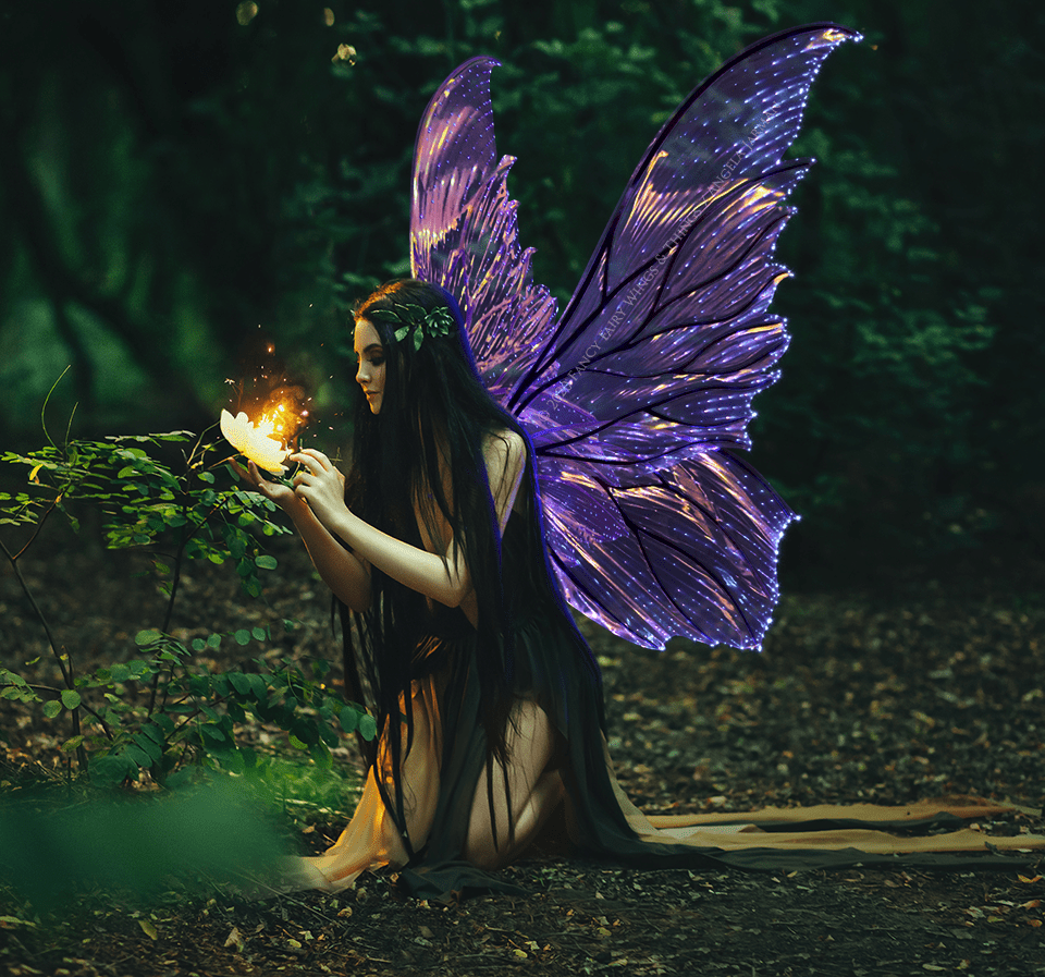 960x897 fire wings