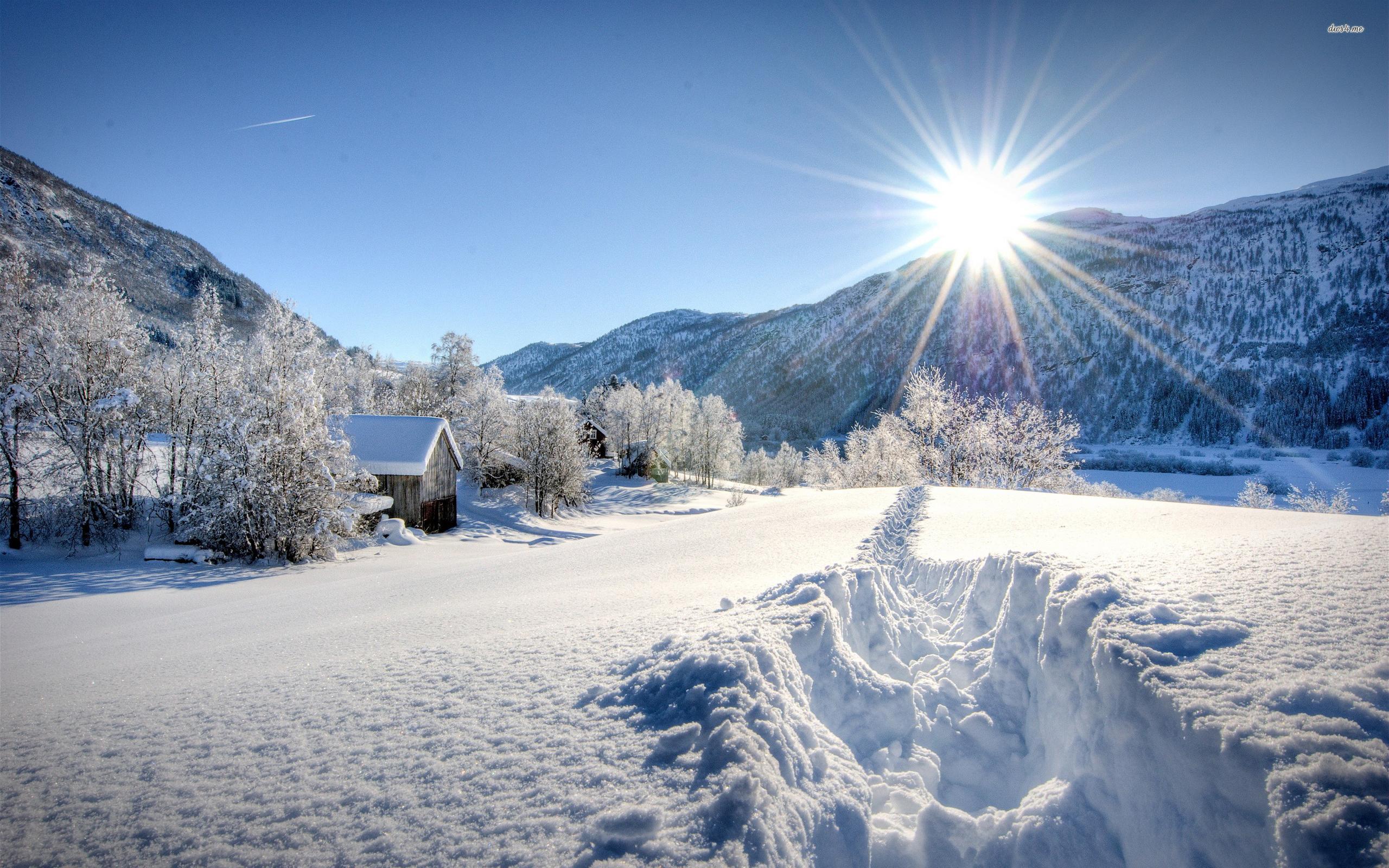 2560x1600 Free Winter Sun Wallpaper