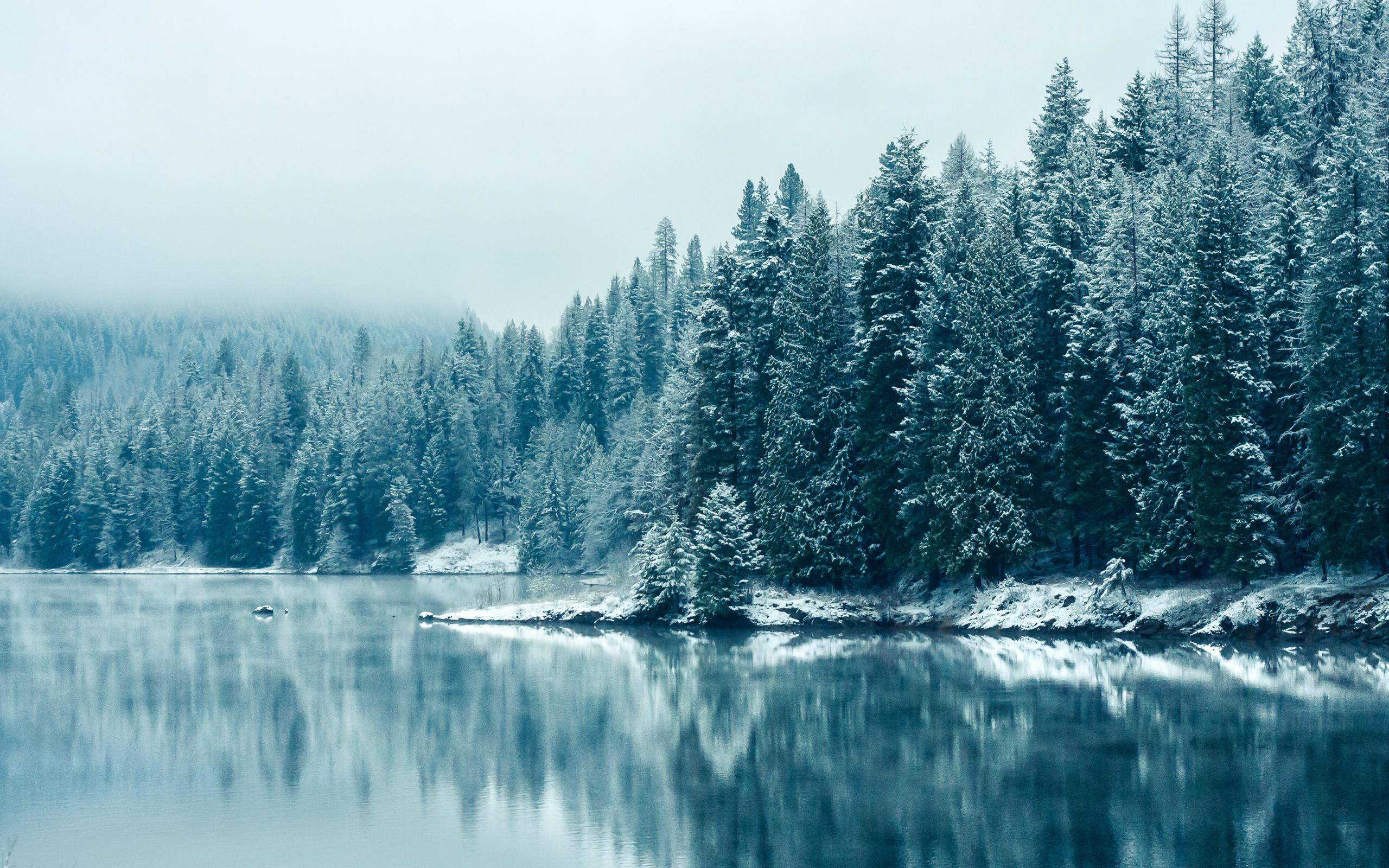 2560x1600 Download Kootenay river, snowfall, tree, nature, winter wallpaper, 2560x Dual Wide, Widescreen 16: Widescreen