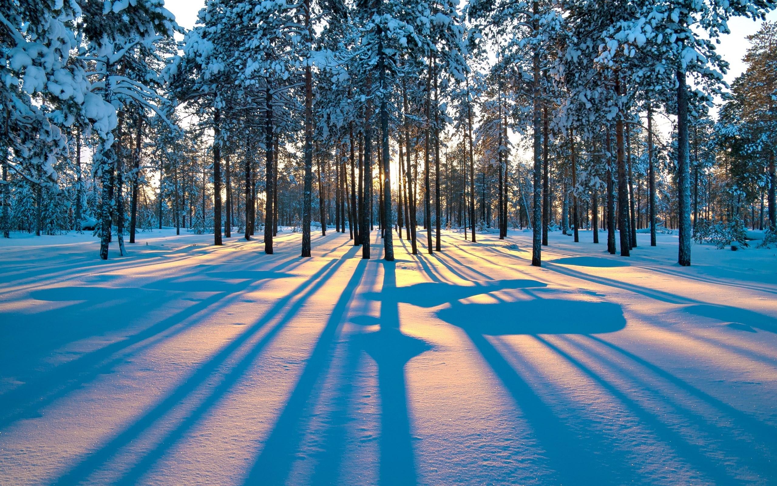 2560x1600 winter computer background wallpaper 2560x1600
