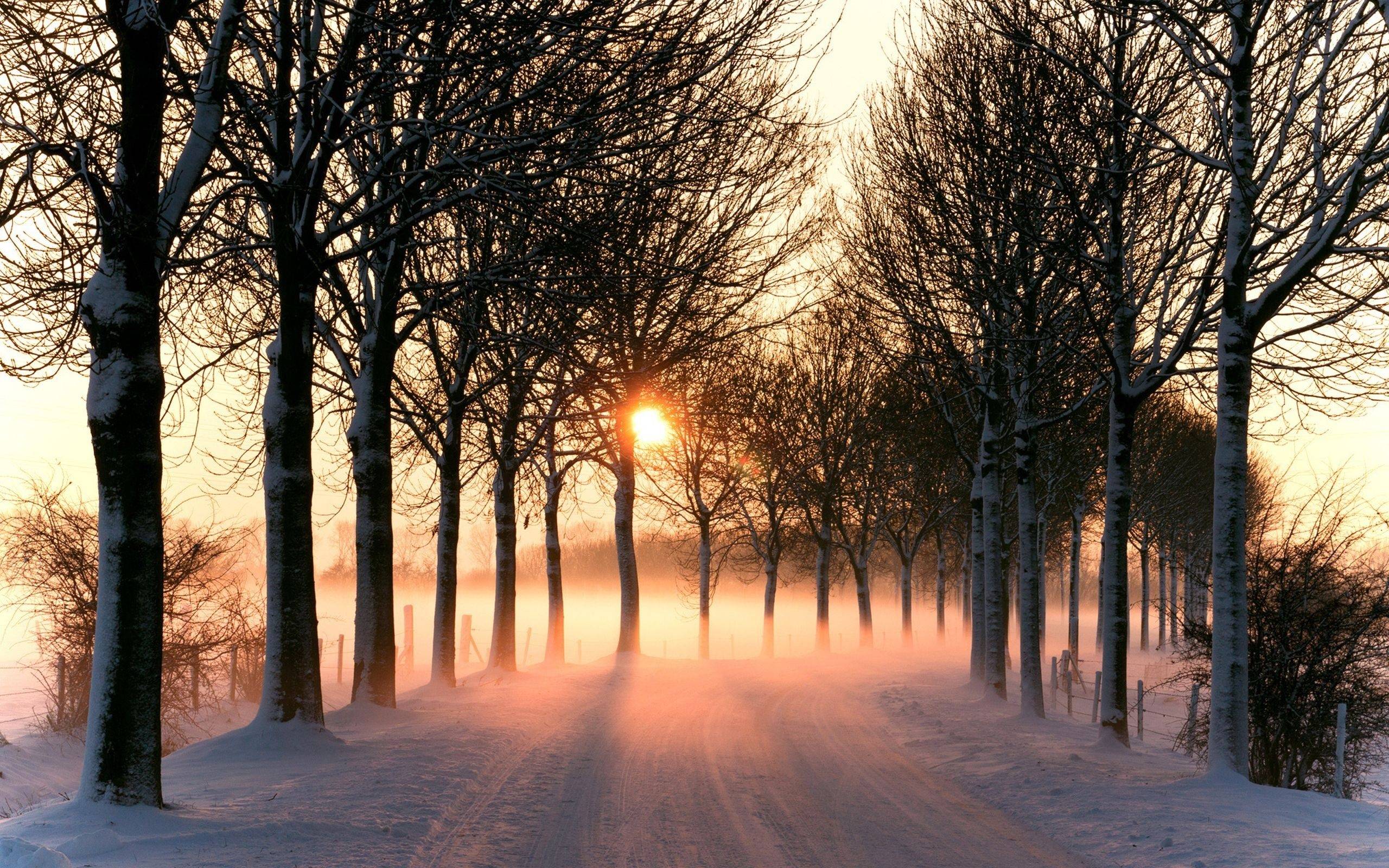 2560x1600 Wallpaper Winter, road, snow, trees, sun rays, morning, fog 2560x1600 HD Picture, Image