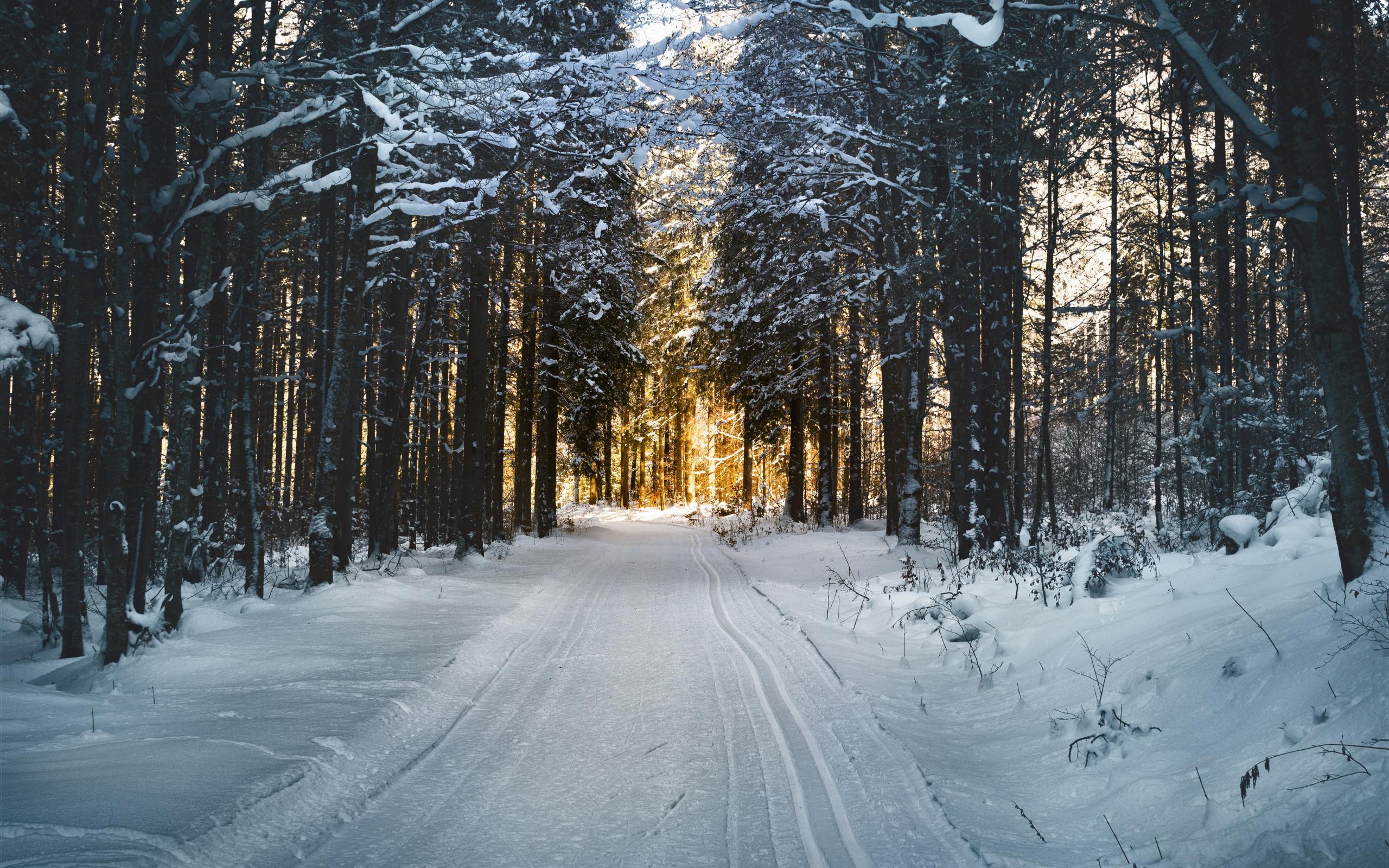 2560x1600 Download Winter, road, skiing, sunlight, nature wallpaper, 2560x Dual Wide, Widescreen 16: Widescreen