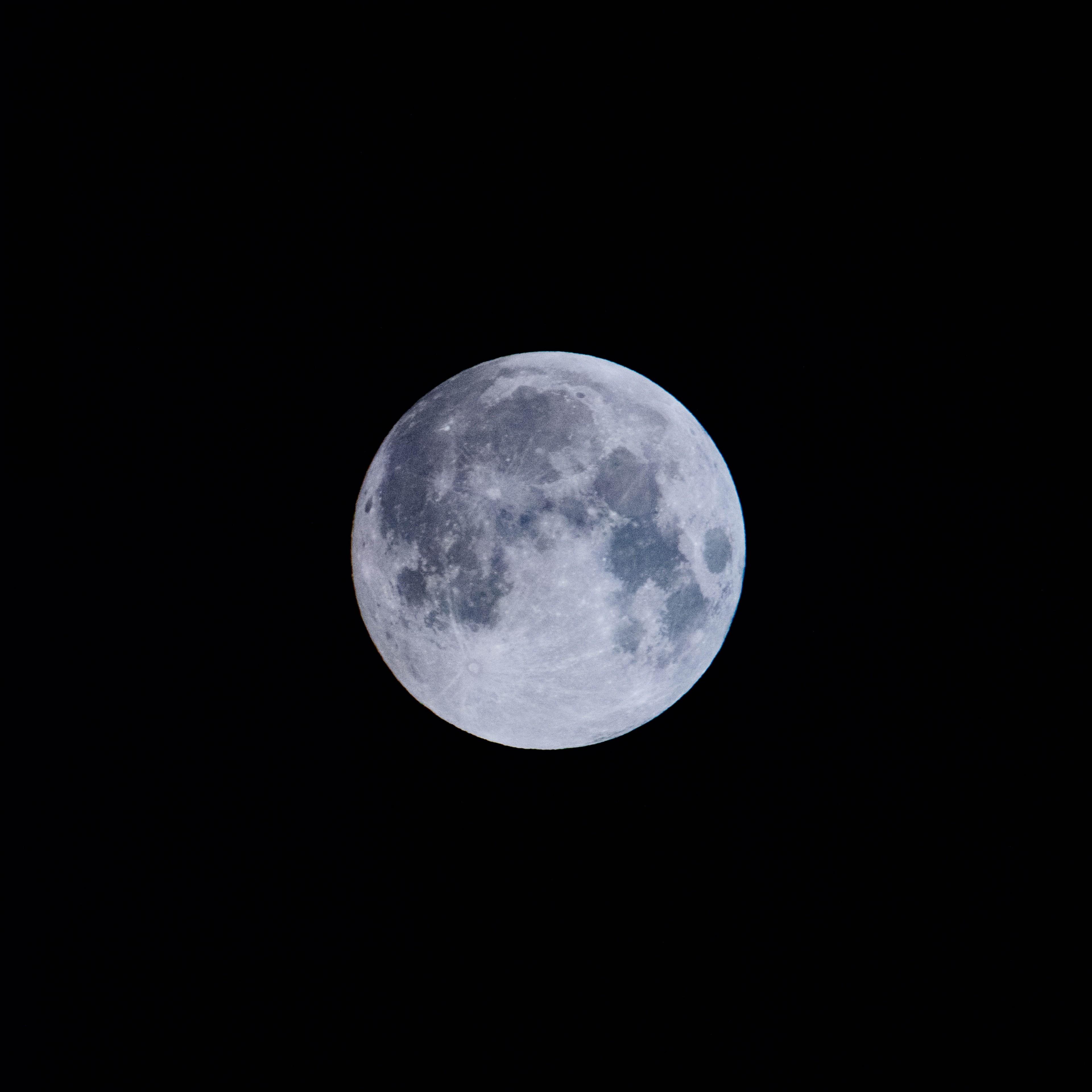 3840x3840 Download 3840x3840 Moon, Satellite Wallpaper