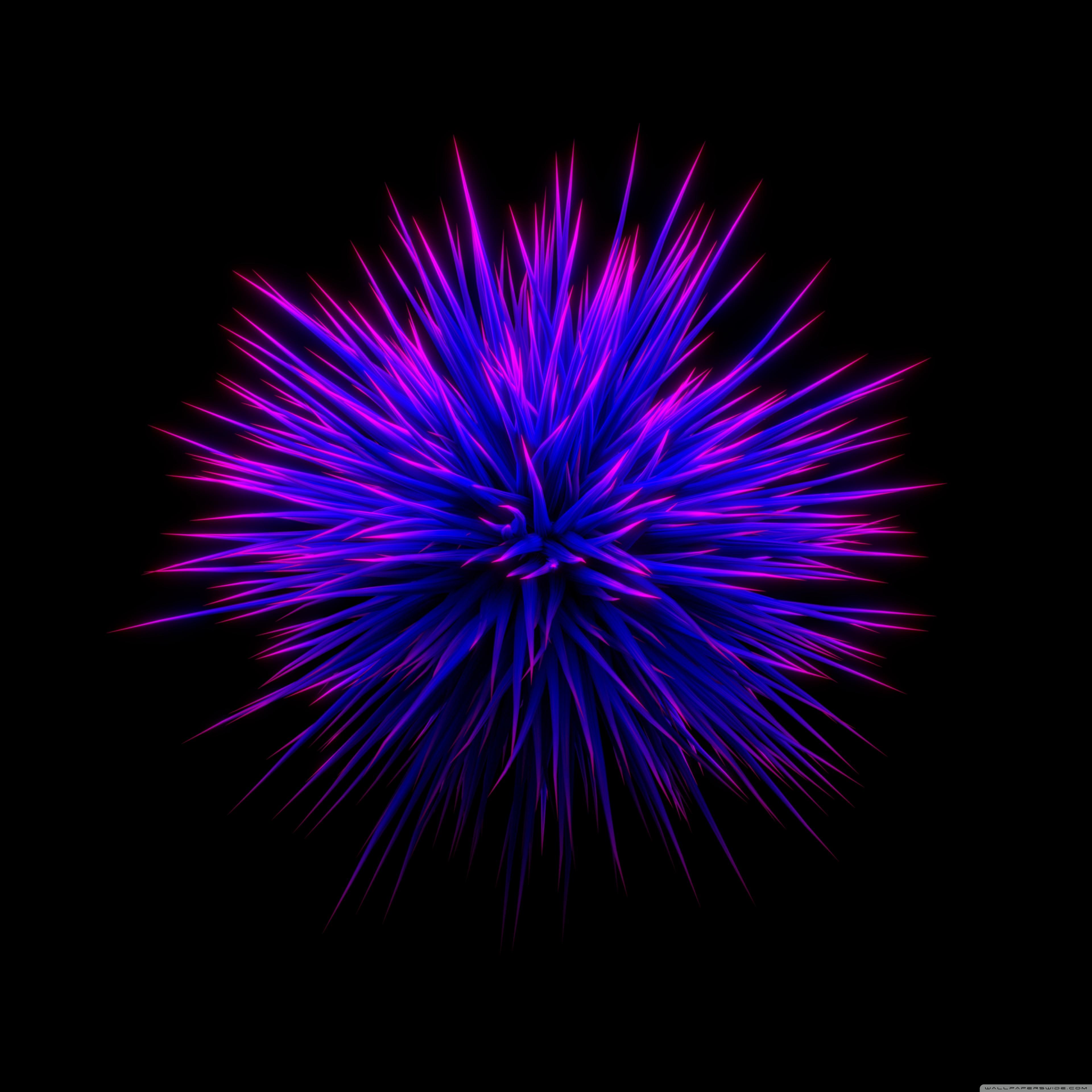 3840x3840 Blue Flower Ultra HD Desktop Background Wallpaper for : Widescreen & UltraWide Desktop & Laptop : Multi Display, Dual Monitor : Tablet