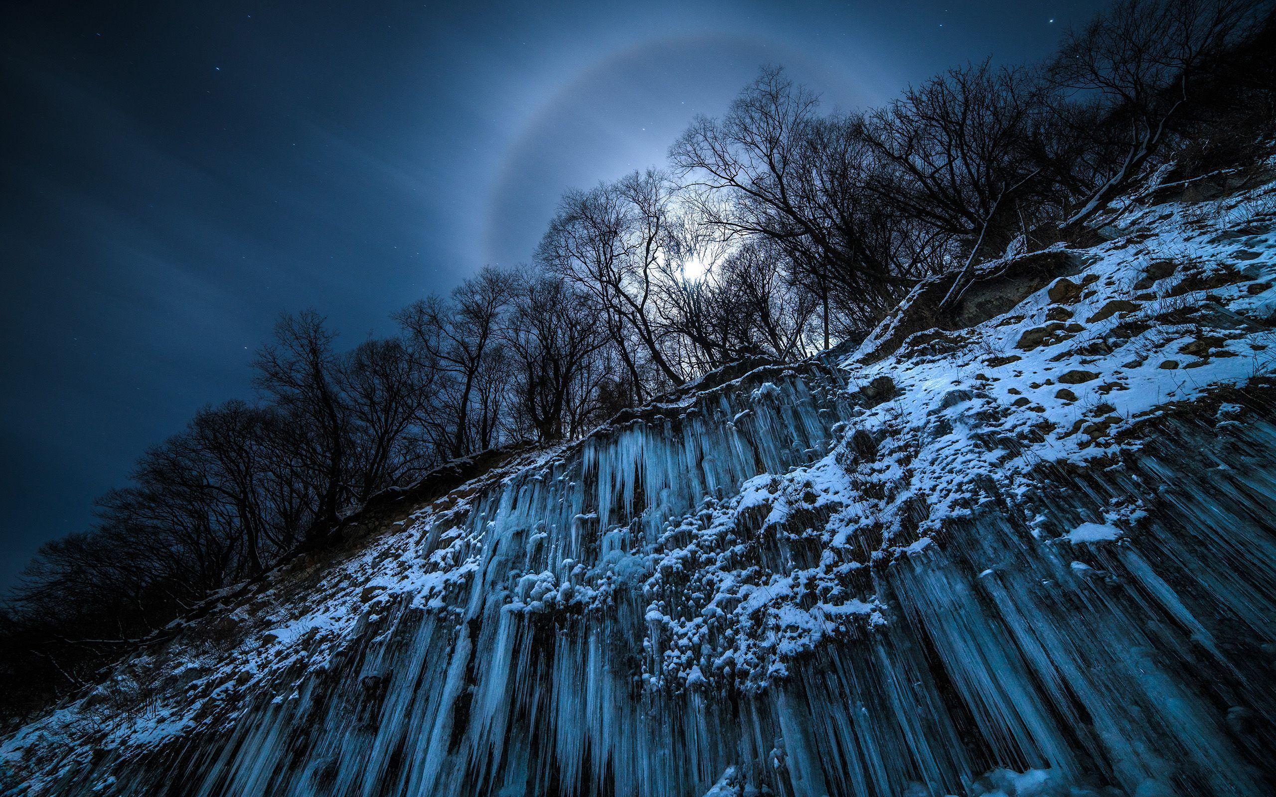 2560x1600 Winter Wallpaper 094 - [2560x1600]