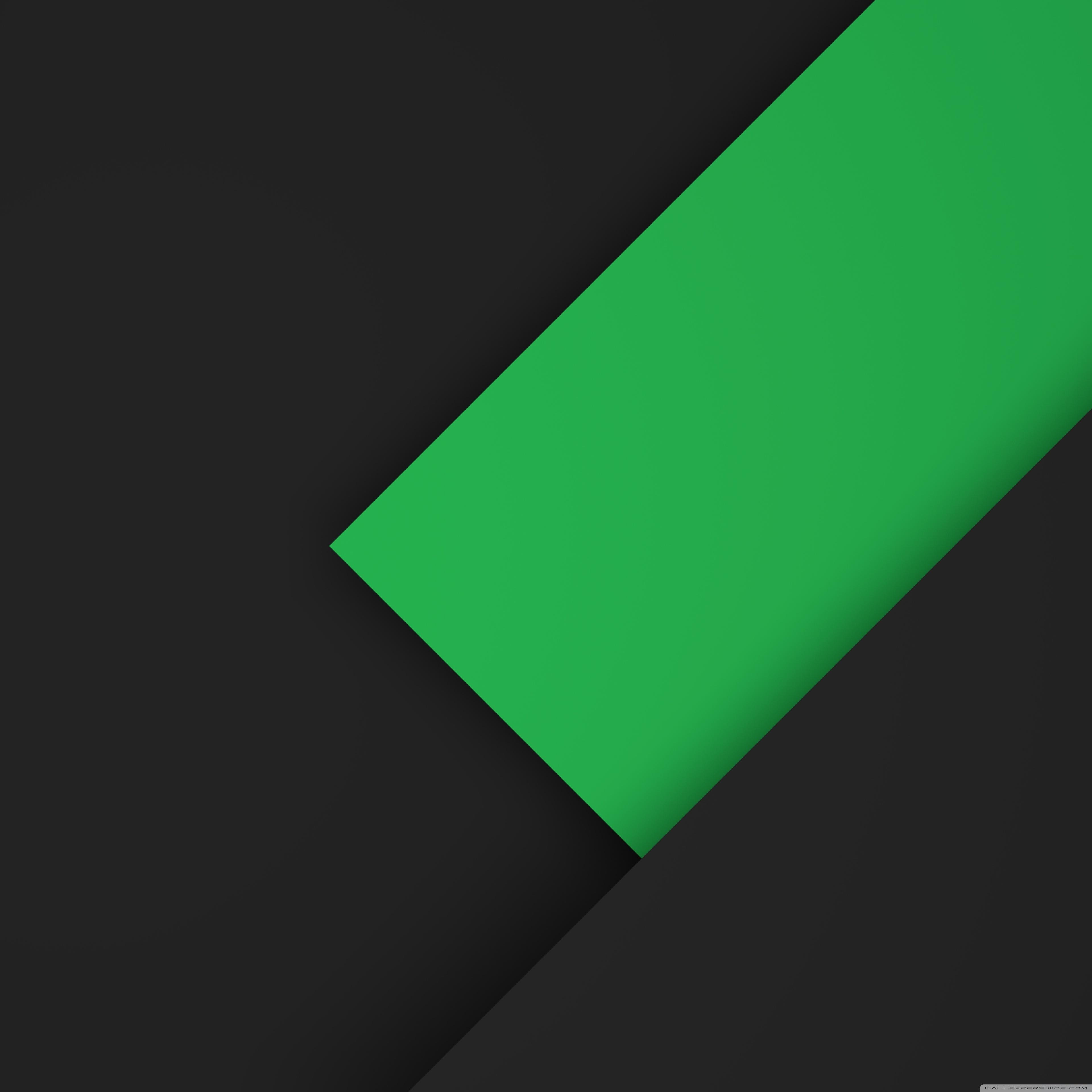 3840x3840 Dark Green Wallpaper 4k