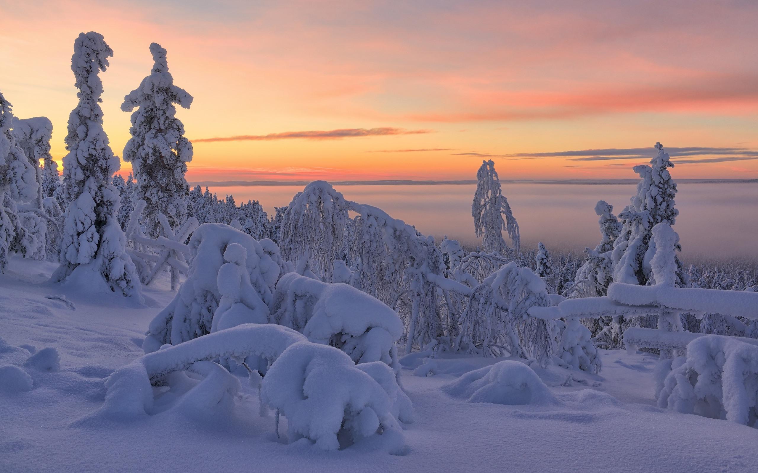 2560x1600 Wallpaper Beautiful winter, thick snow, trees, dusk 2560x1600 HD Picture, Image