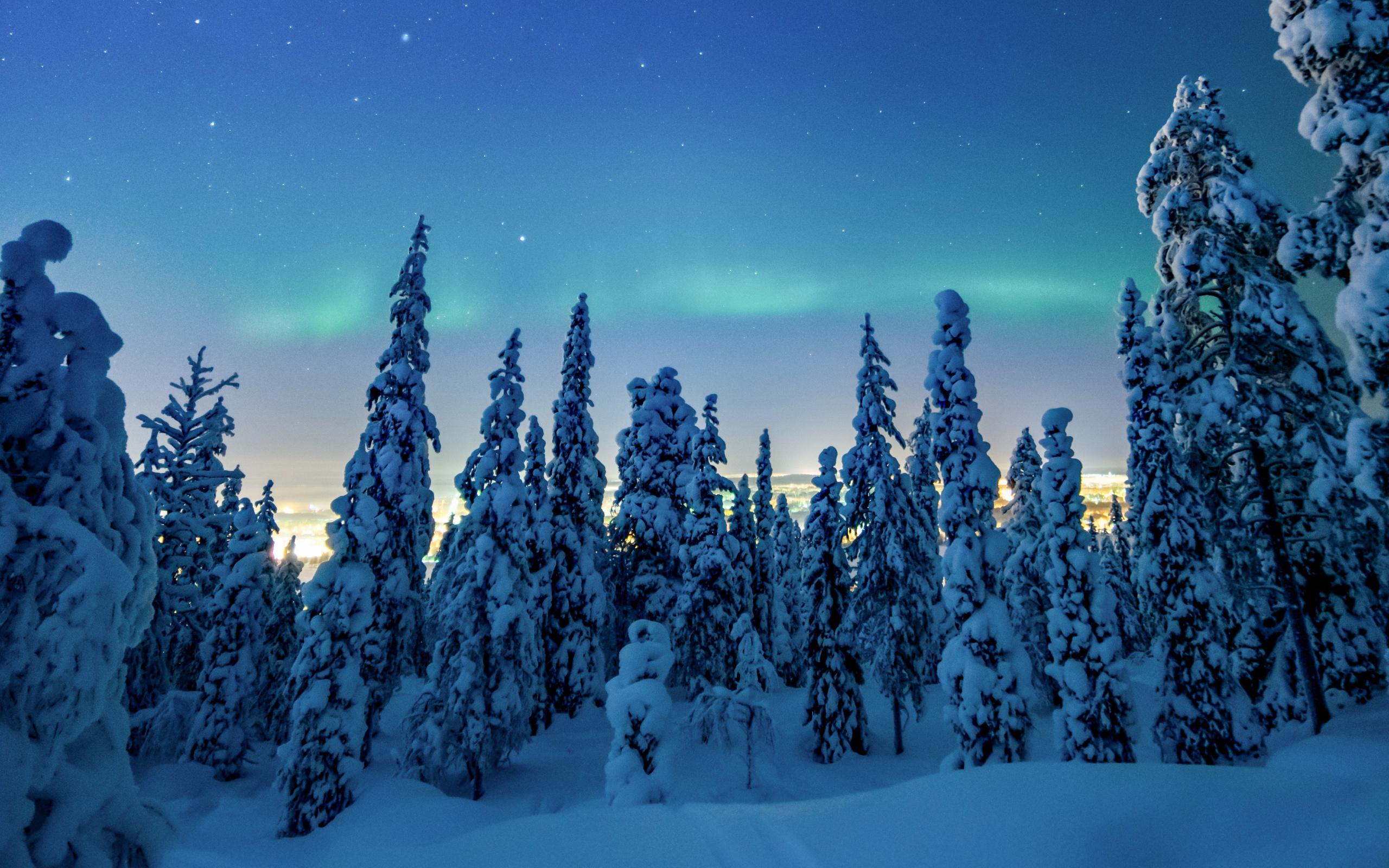 2560x1600 Download Winter, snow layer, dawn, trees wallpaper, 2560x Dual Wide, Widescreen 16: Widescreen