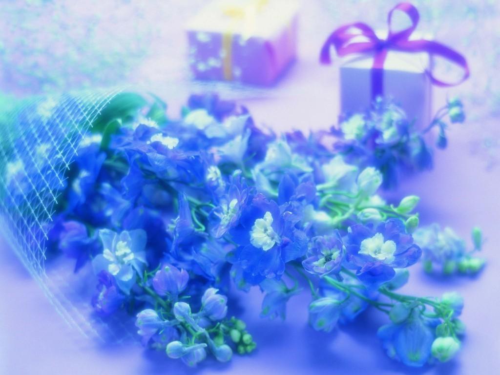 1024x768 Valentine flowers wallpaper. Valentine flowers