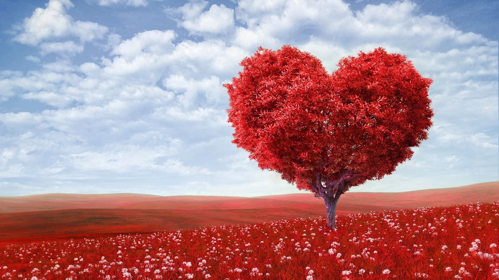 1600x900 Elegant HD Valentine Wallpaper for Mobile & Desktop