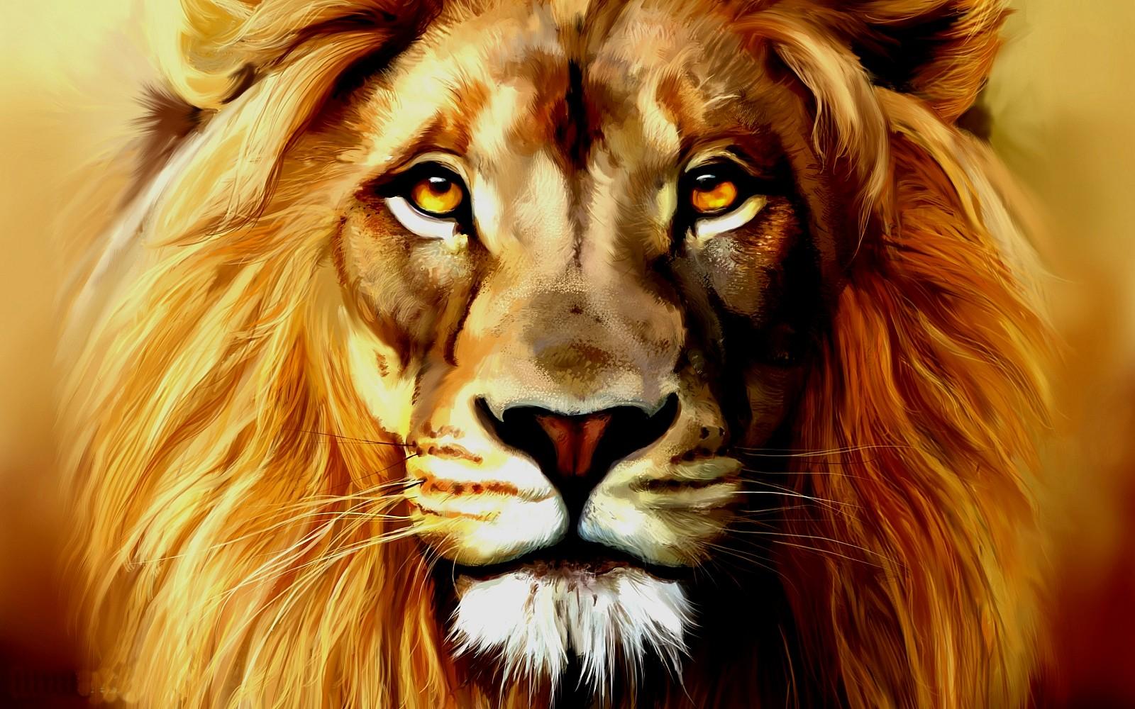 1600x1000 Lion Face Wallpaper