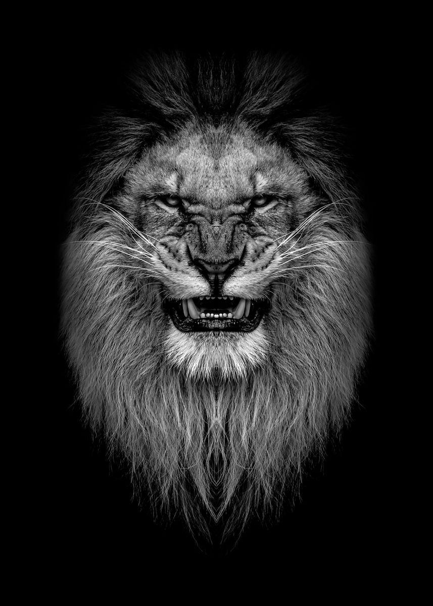 857x1200 angry lion head poster ' Poster