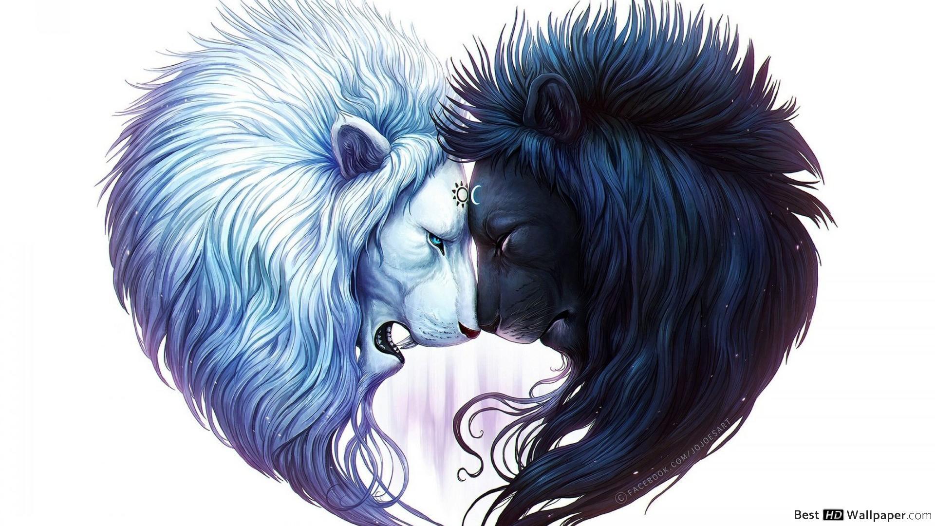 1920x1080 White and Black lions HD wallpaper download