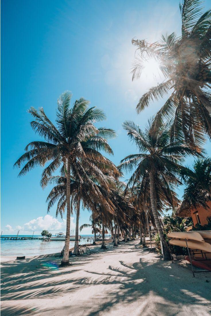 735x1102 Culture travel #caulker #belize caye caulker belize, secret beach belize, belize food recipes, belize city. Belize vacations, Belize travel, Caye caulker belize