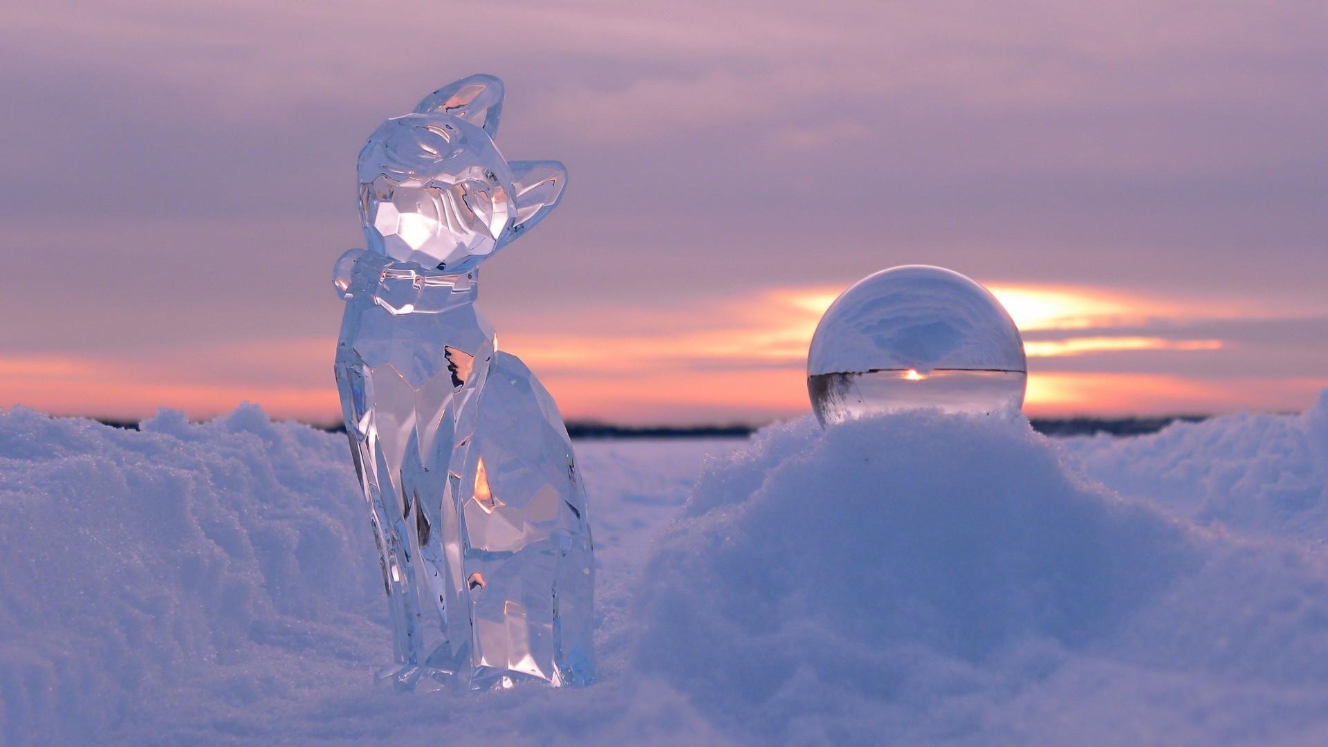 1920x1080 sunlight, cat, depth of field, sunset, nature, reflection, snow, winter, clouds, sphere, ice, glass, crystal, kittens, Arctic, ball, Freezing, cloud, mountain, weather, season, atmosphere of earth, arctic ocean. Mocah HD Wallpaper