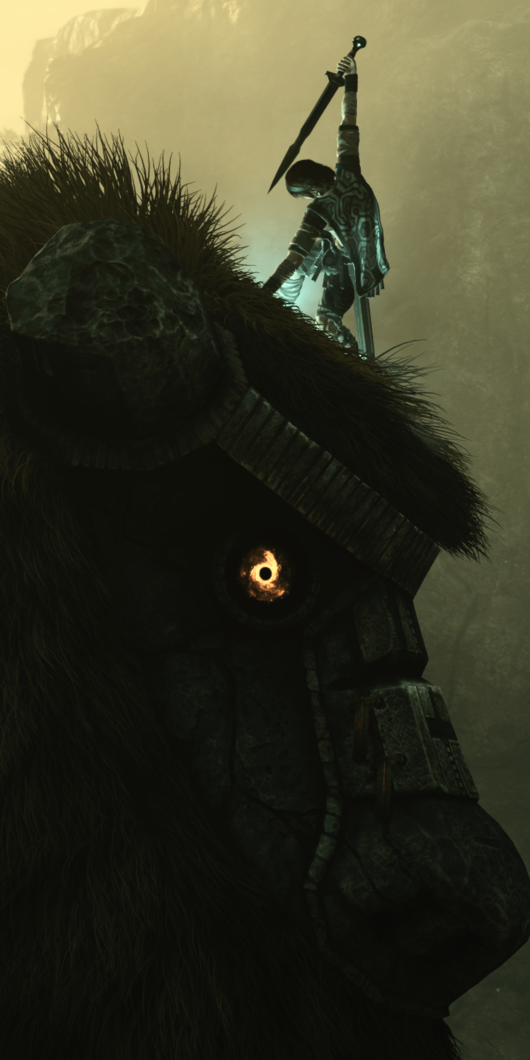 1080x2160 Video Game Shadow Of The Colossus
