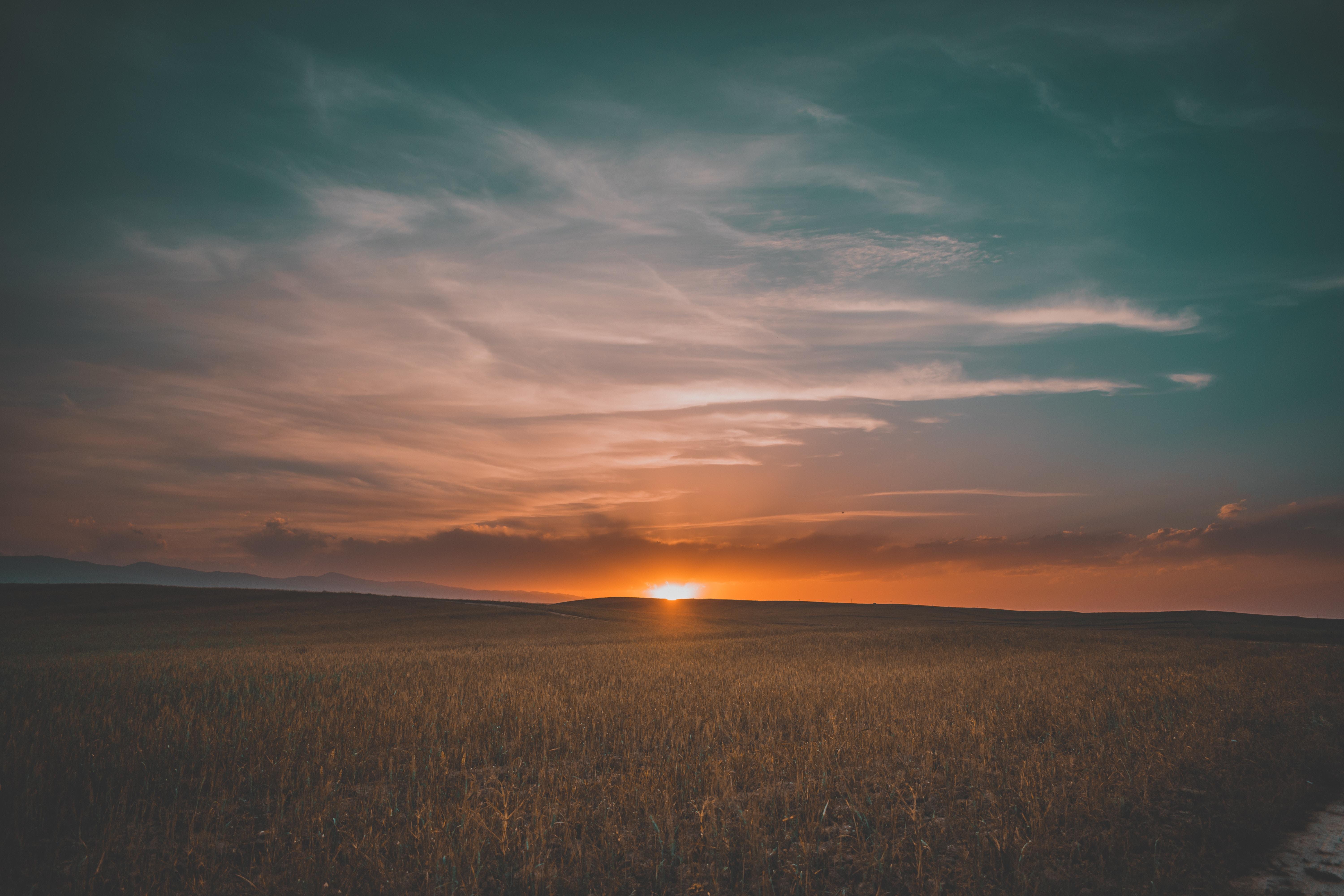 6000x4000 Field Sunrise 5k 5k HD 4k Wallpaper, Image, Background, Photo and Picture
