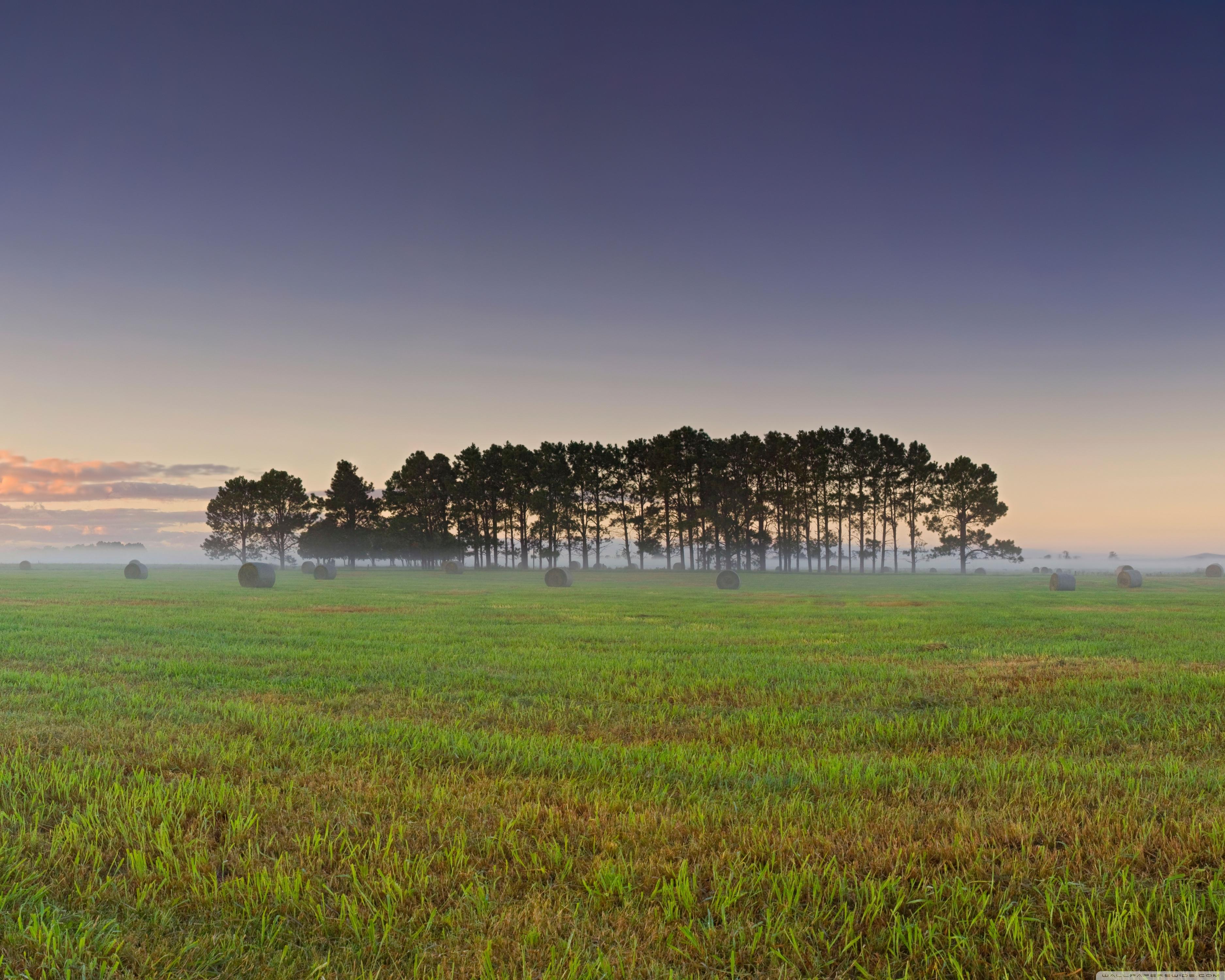 3750x3000 Sunrise Over Crop Field Ultra HD Desktop Background Wallpaper for 4K UHD TV : Widescreen & UltraWide Desktop & Laptop : Multi Display, Dual Monitor : Tablet